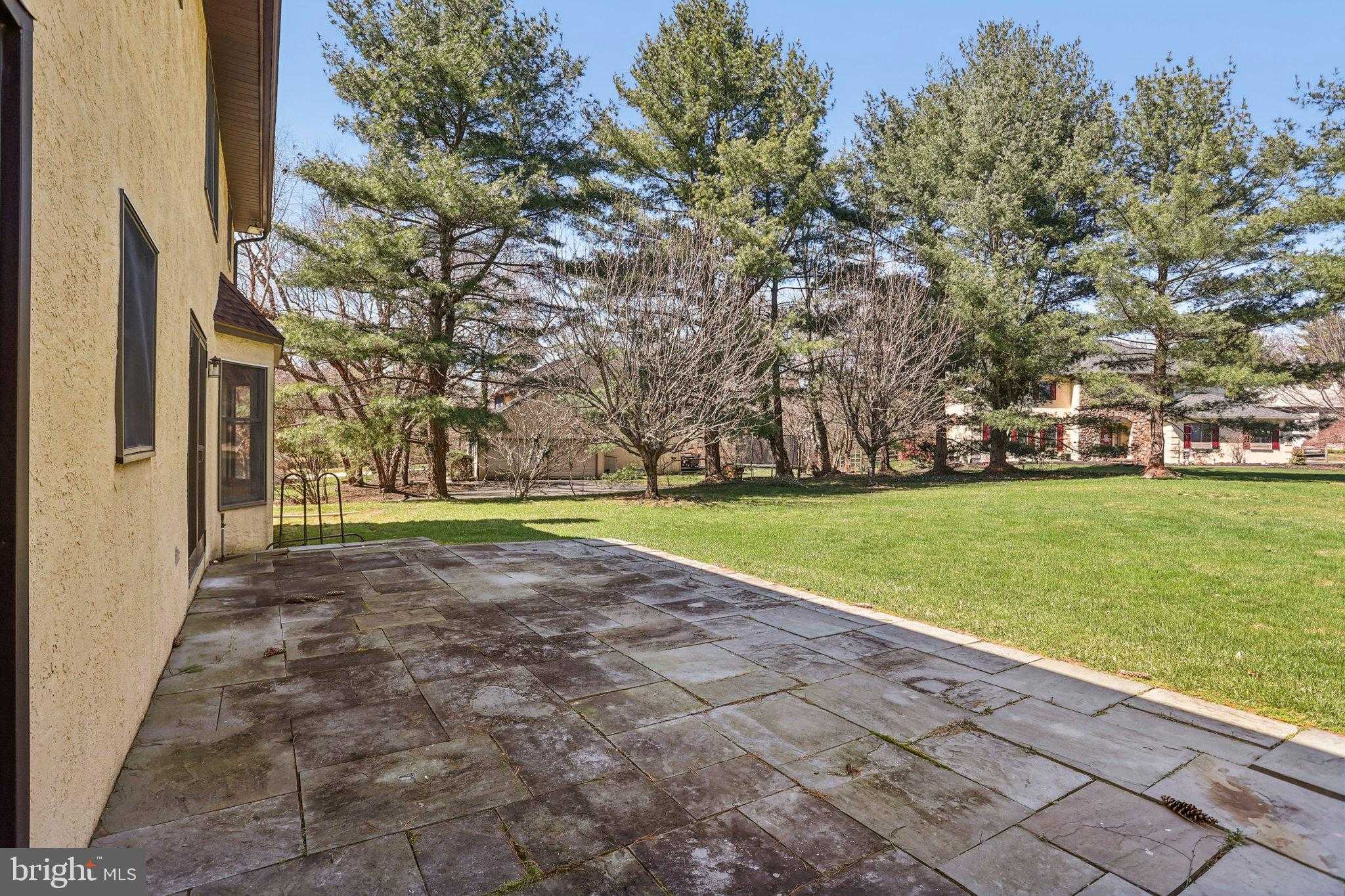 1 Saljon CT photo 75