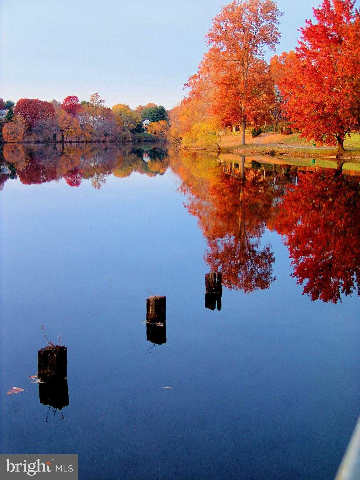 5482 Midship CT photo 40