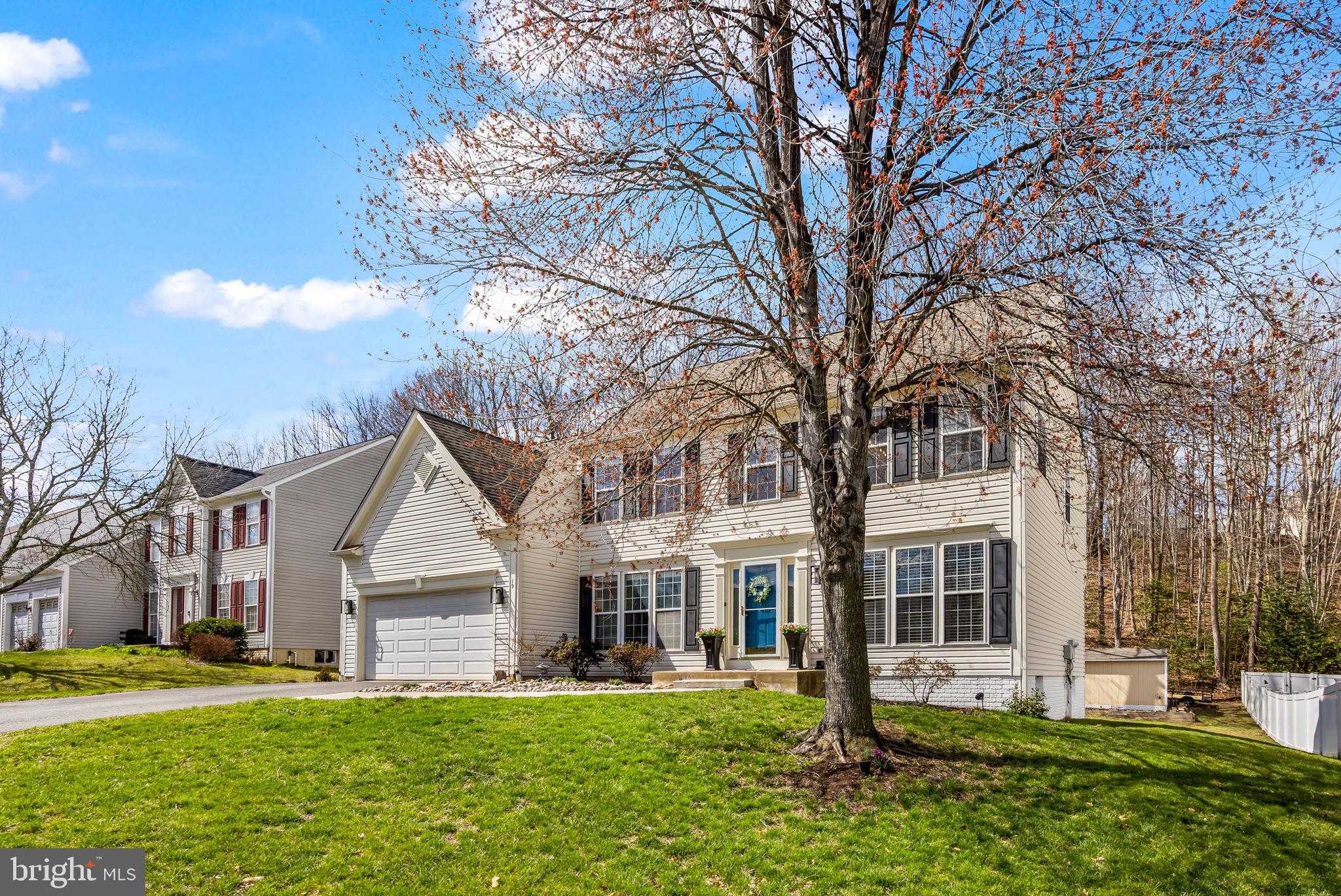 19 Francis CT photo 4