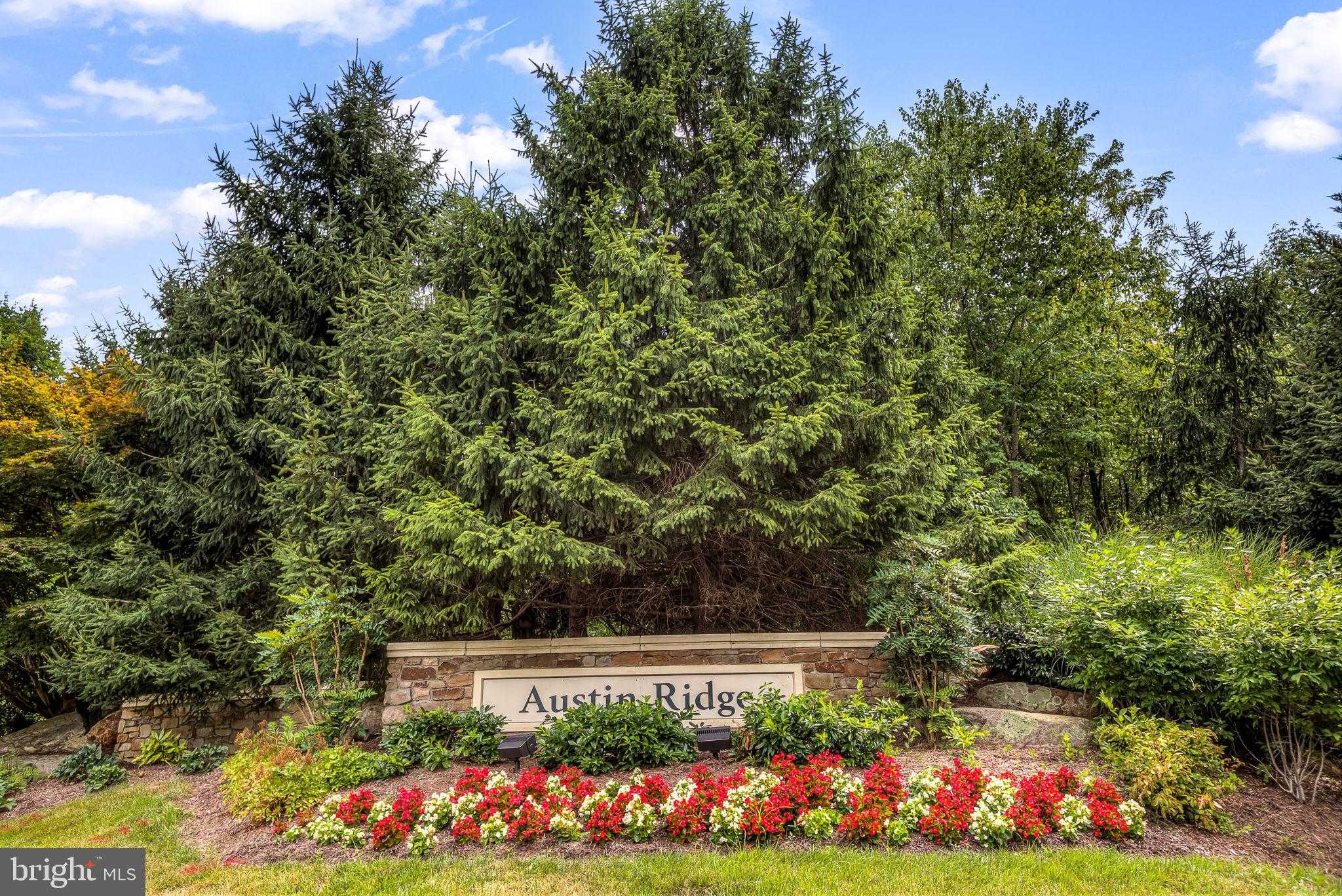 19 Francis CT photo 47