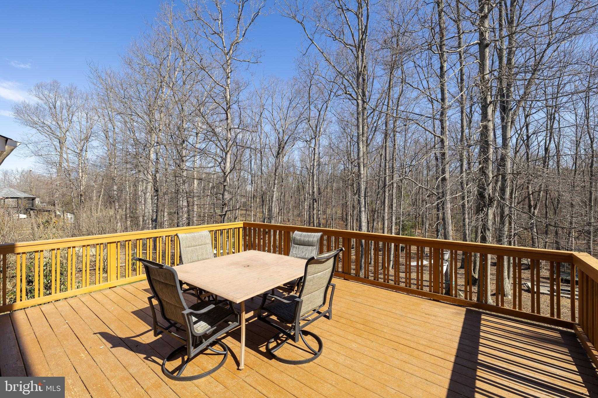 32 Norfolk St photo 35