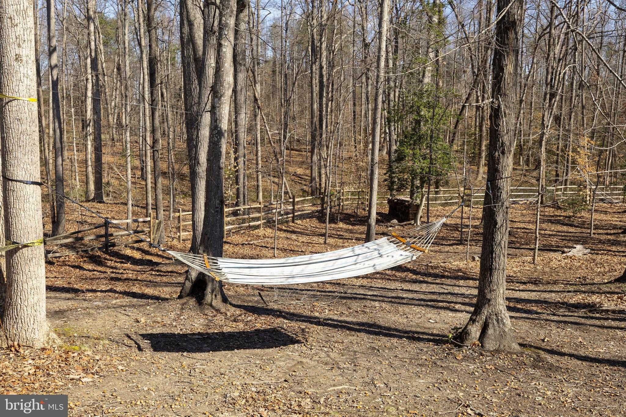 32 Norfolk St photo 40