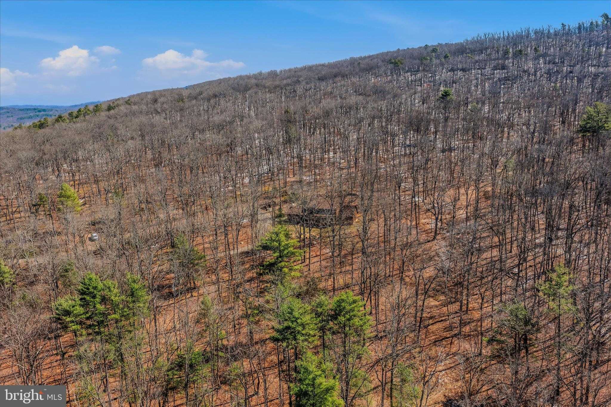 580 Braeburn Dr photo 58