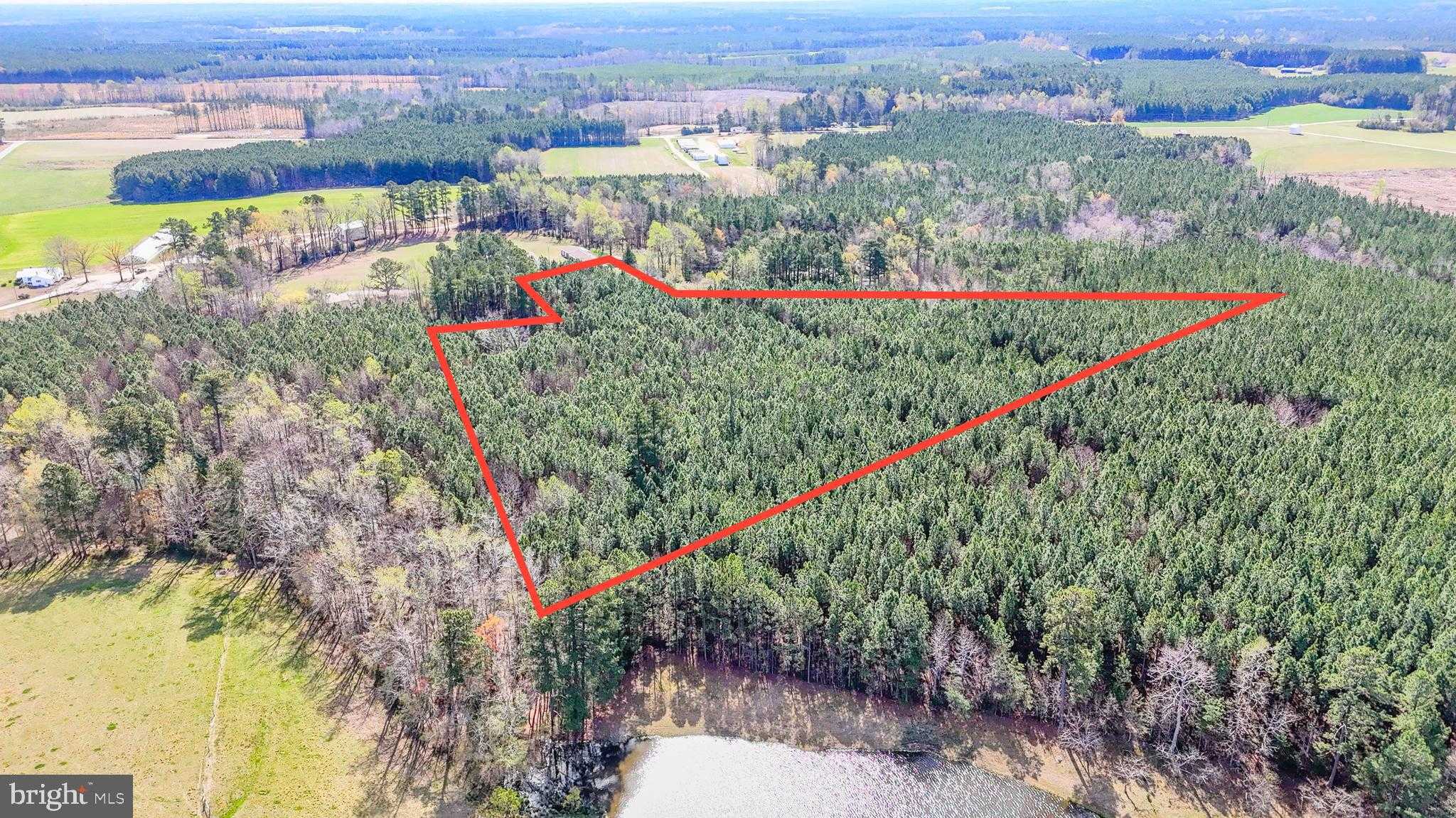 6 Dillard Rd photo 13