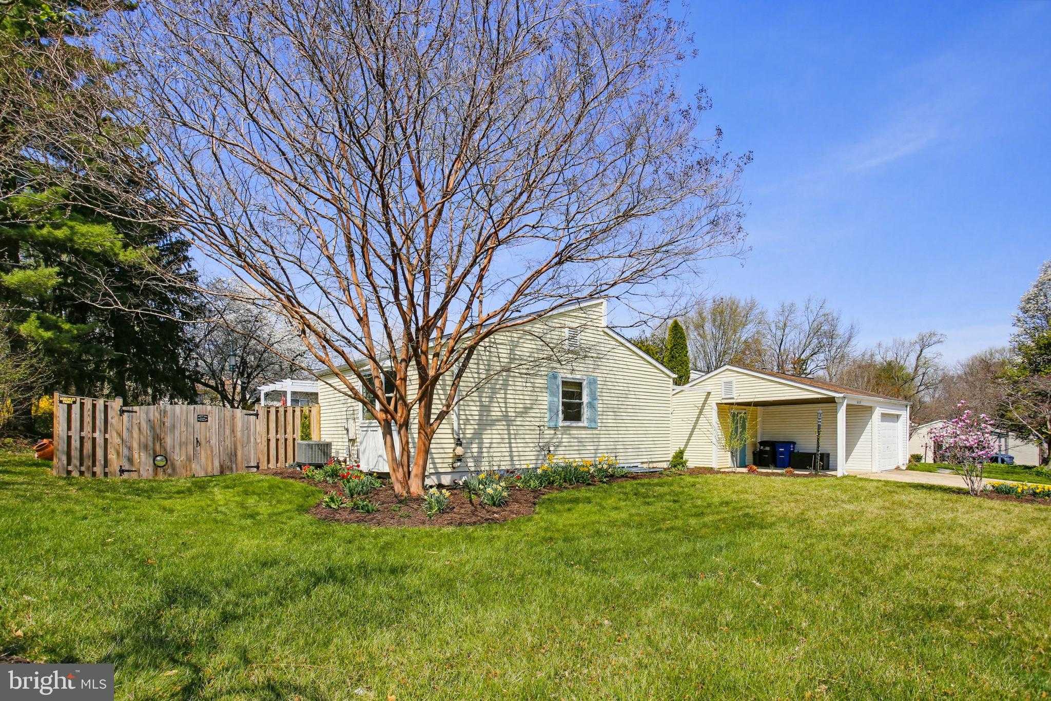 6669 Buttonhole CT photo 46