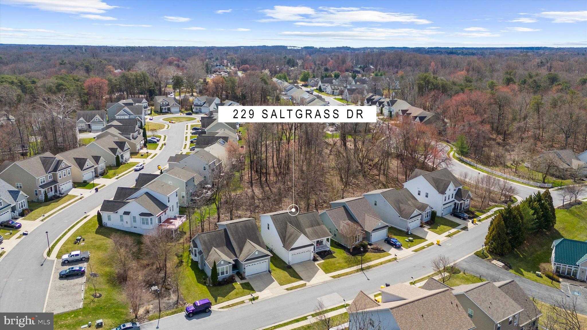 229 Saltgrass Dr photo 58