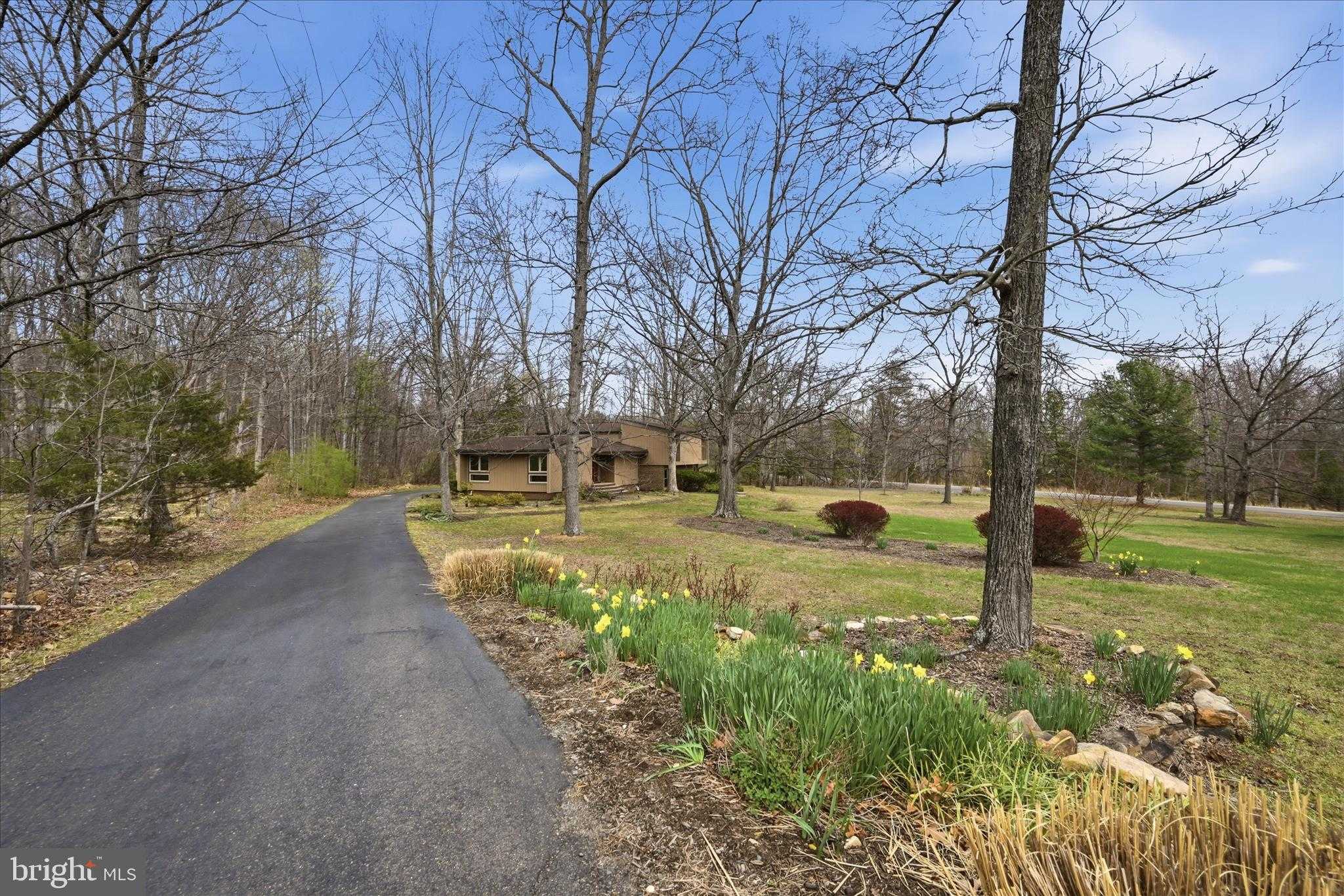 2199 Logmill Rd photo 62