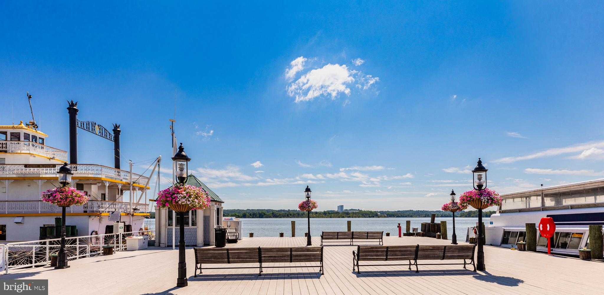 718 Hawkins Way photo 65