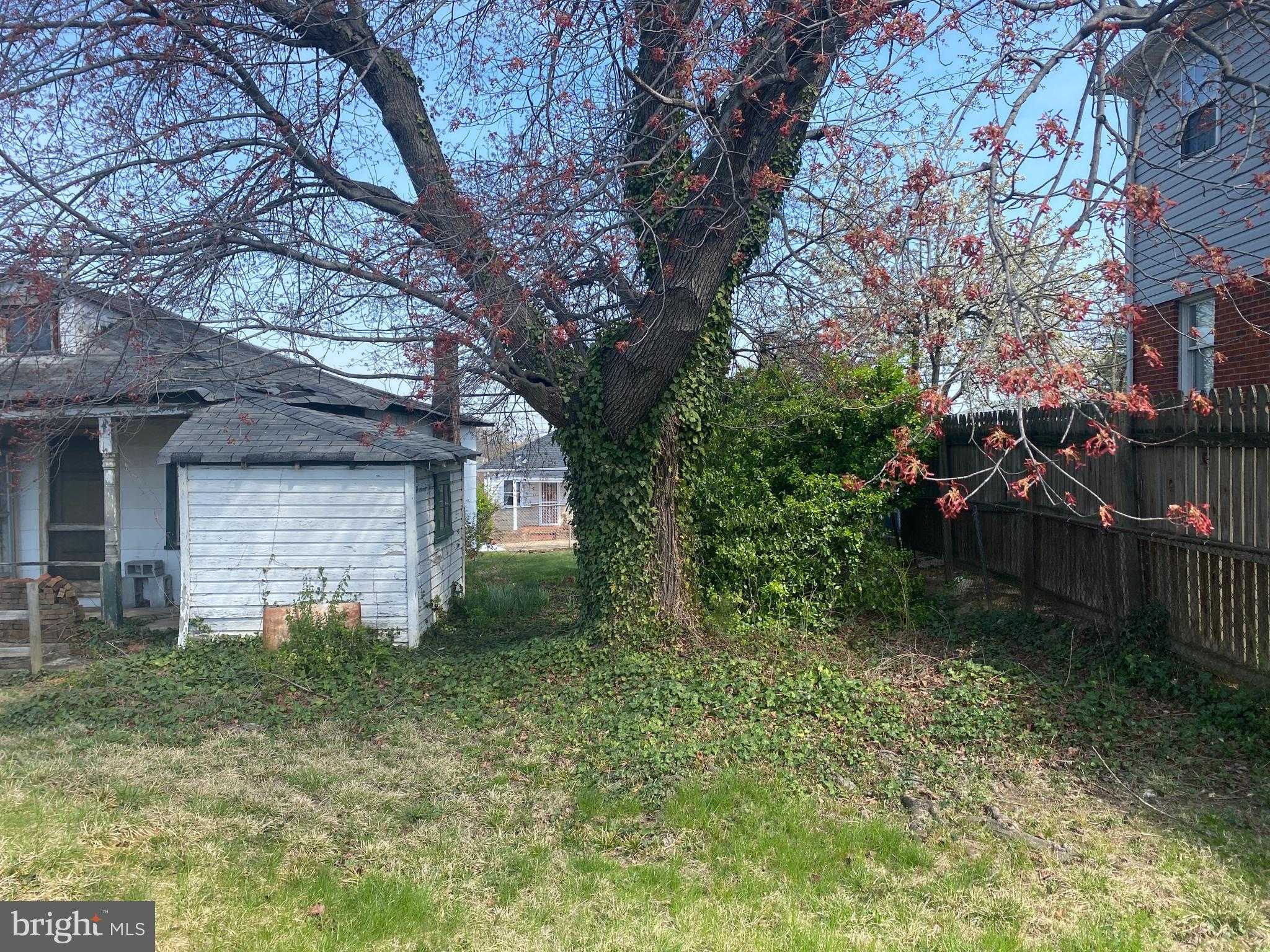 2210 S Nelson St photo 6