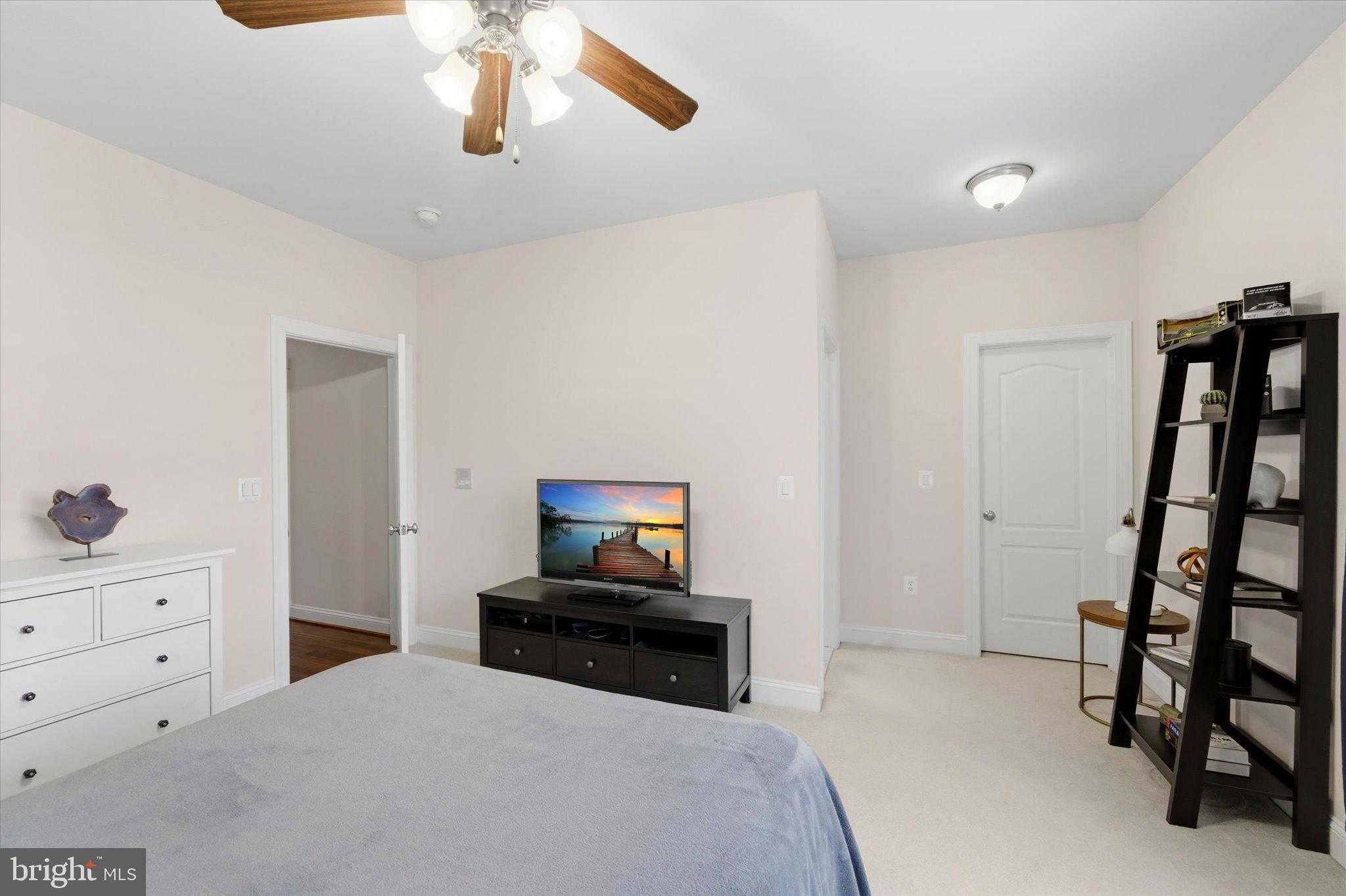 10101 Alydar CT photo 50