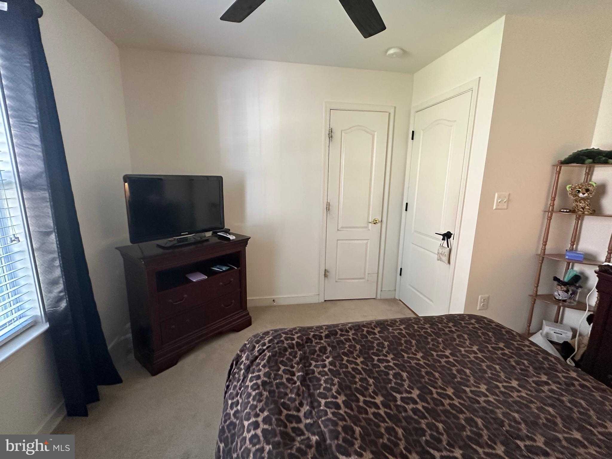 12975 Torchlight Dr photo 36