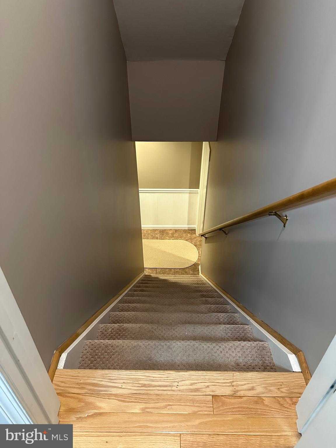 12975 Torchlight Dr photo 43