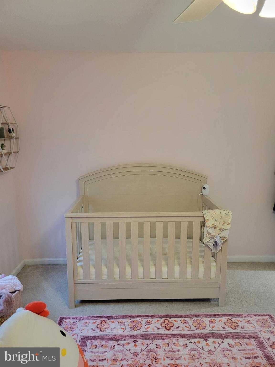 505 Apple St photo 35