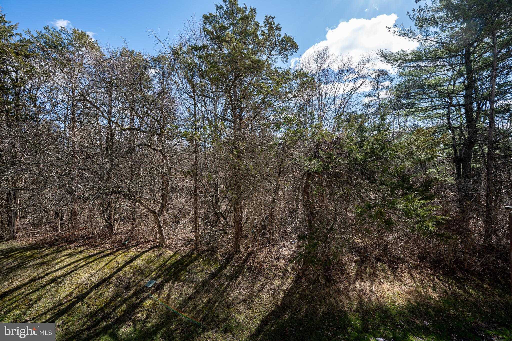 1146 Valley Stream Dr photo 37