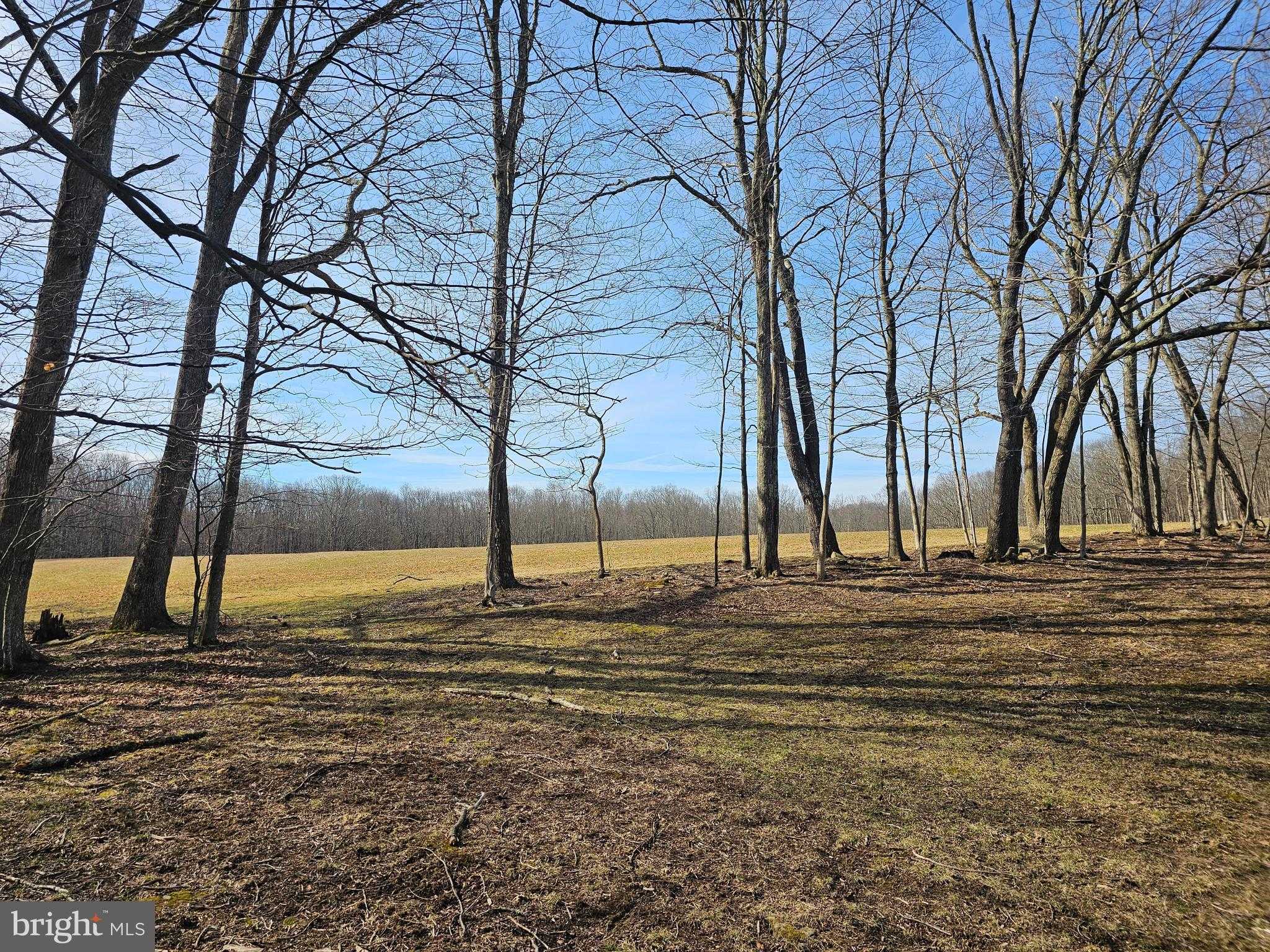 355 Lonesome Pine Rd photo 44