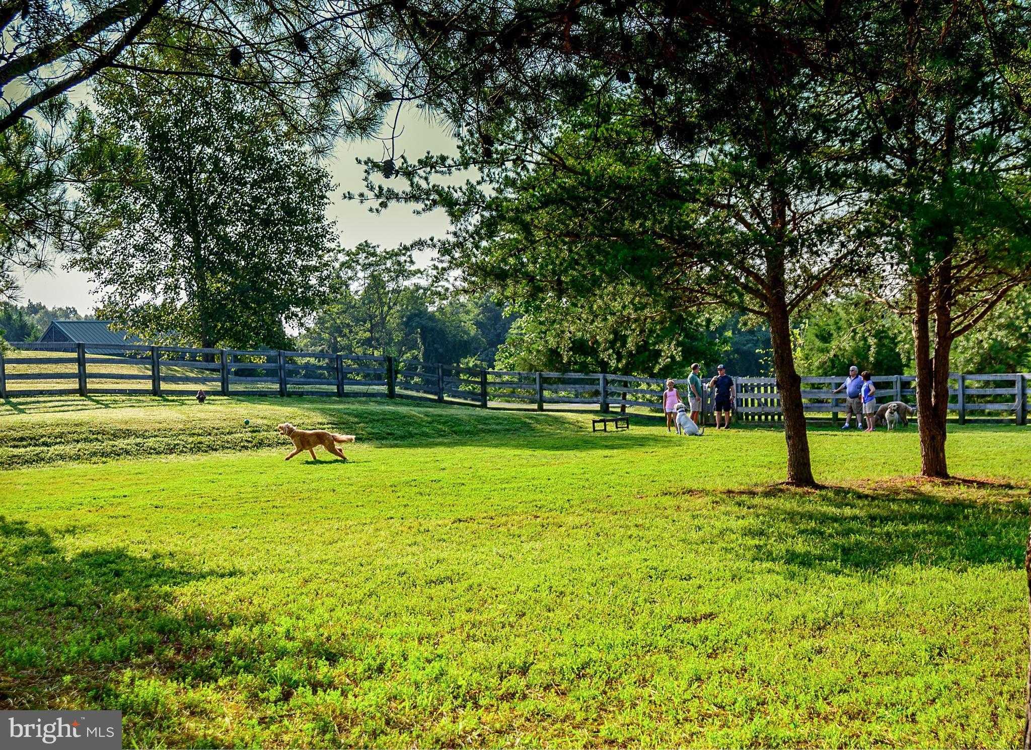 11003 Waterstone Pl photo 67