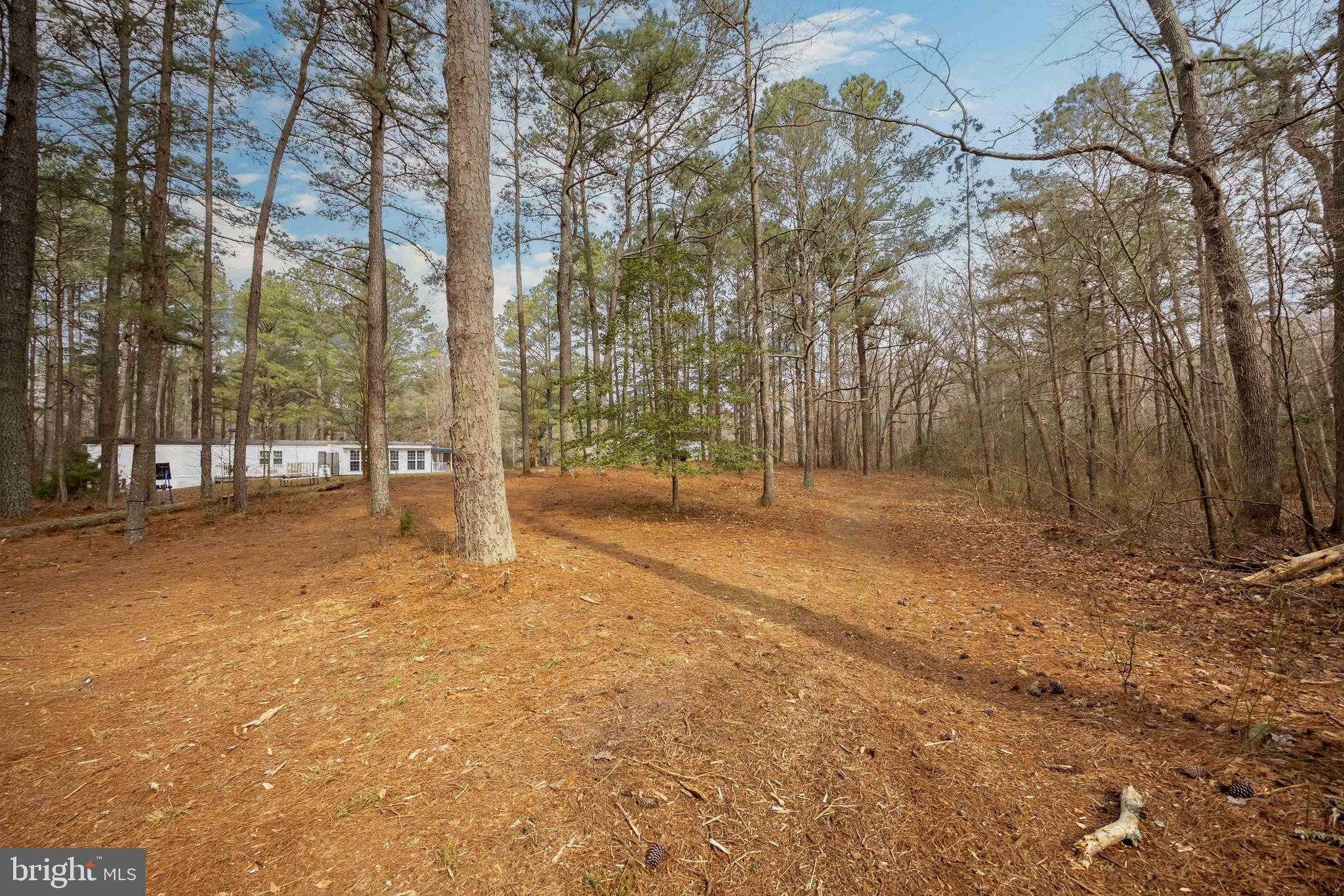 22139 Royal Oak Rd photo 52