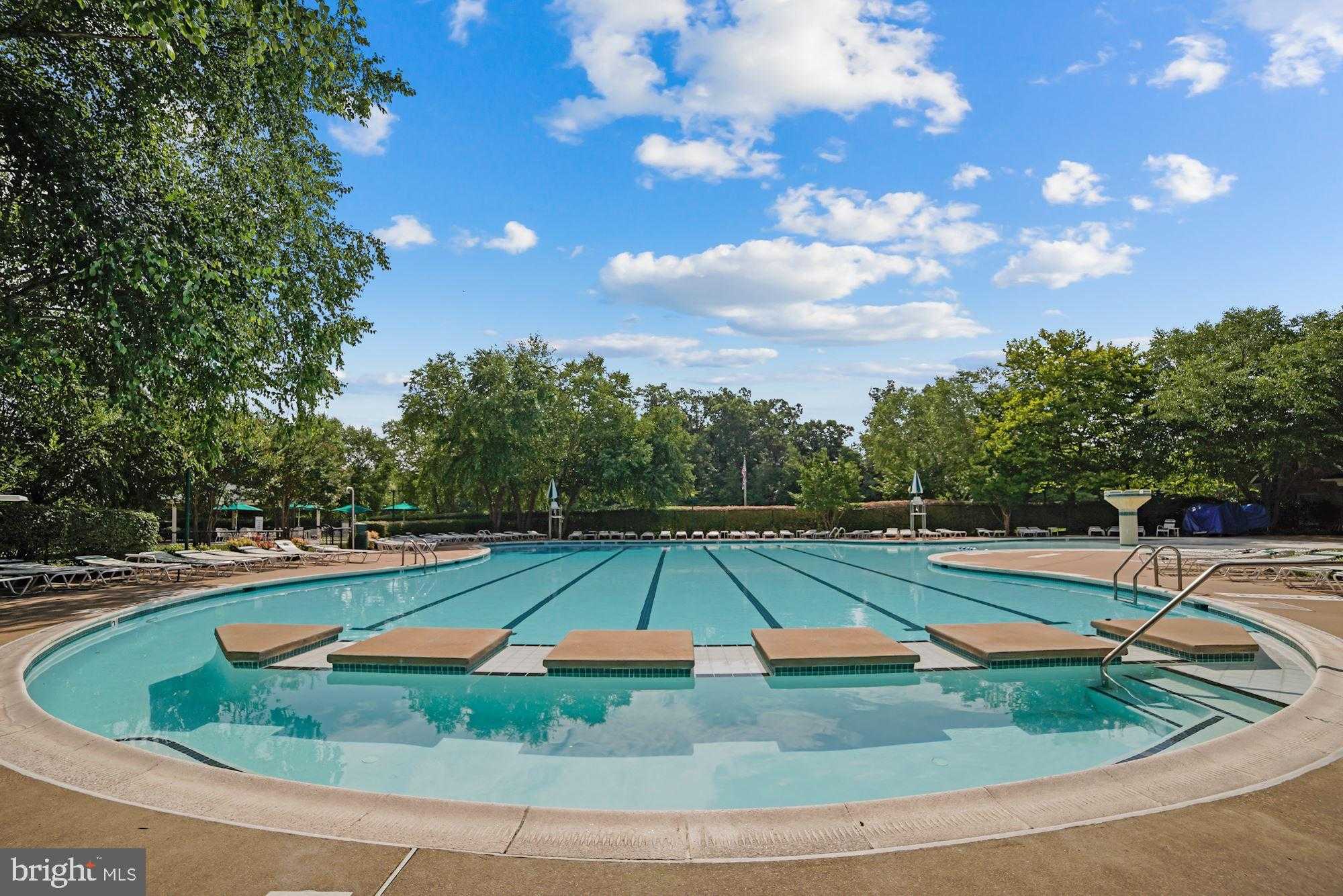 10228 Broadsword Dr photo 90