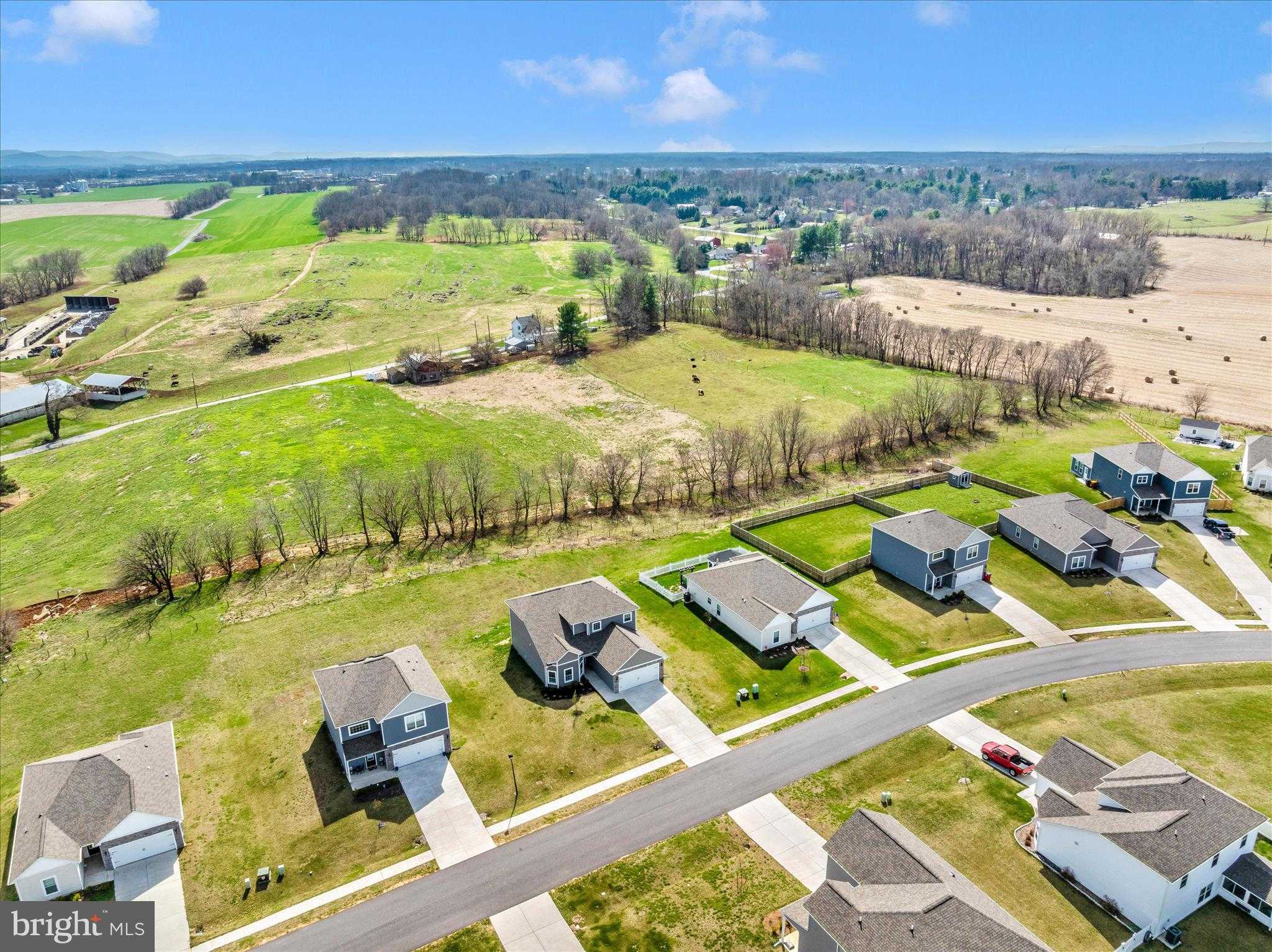 10026 Roulette Dr photo 44