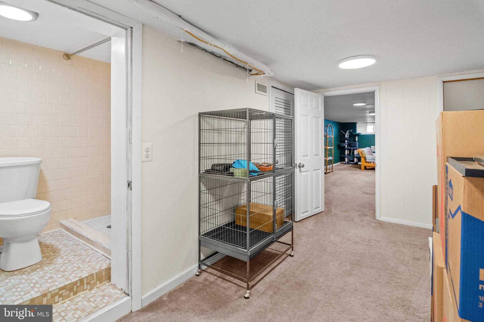 505 S Lehigh St photo 31