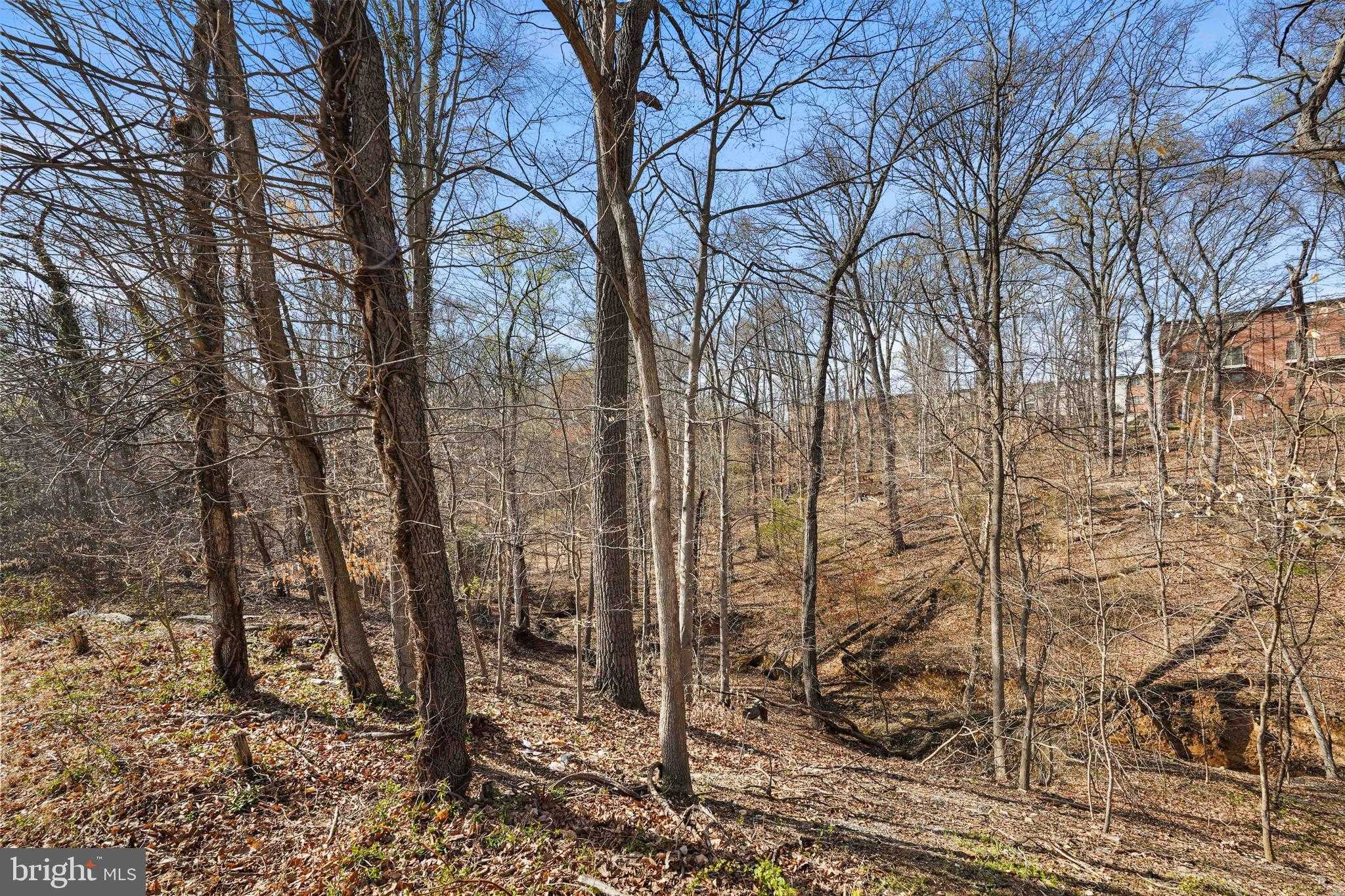 1400 Iverson St photo 3