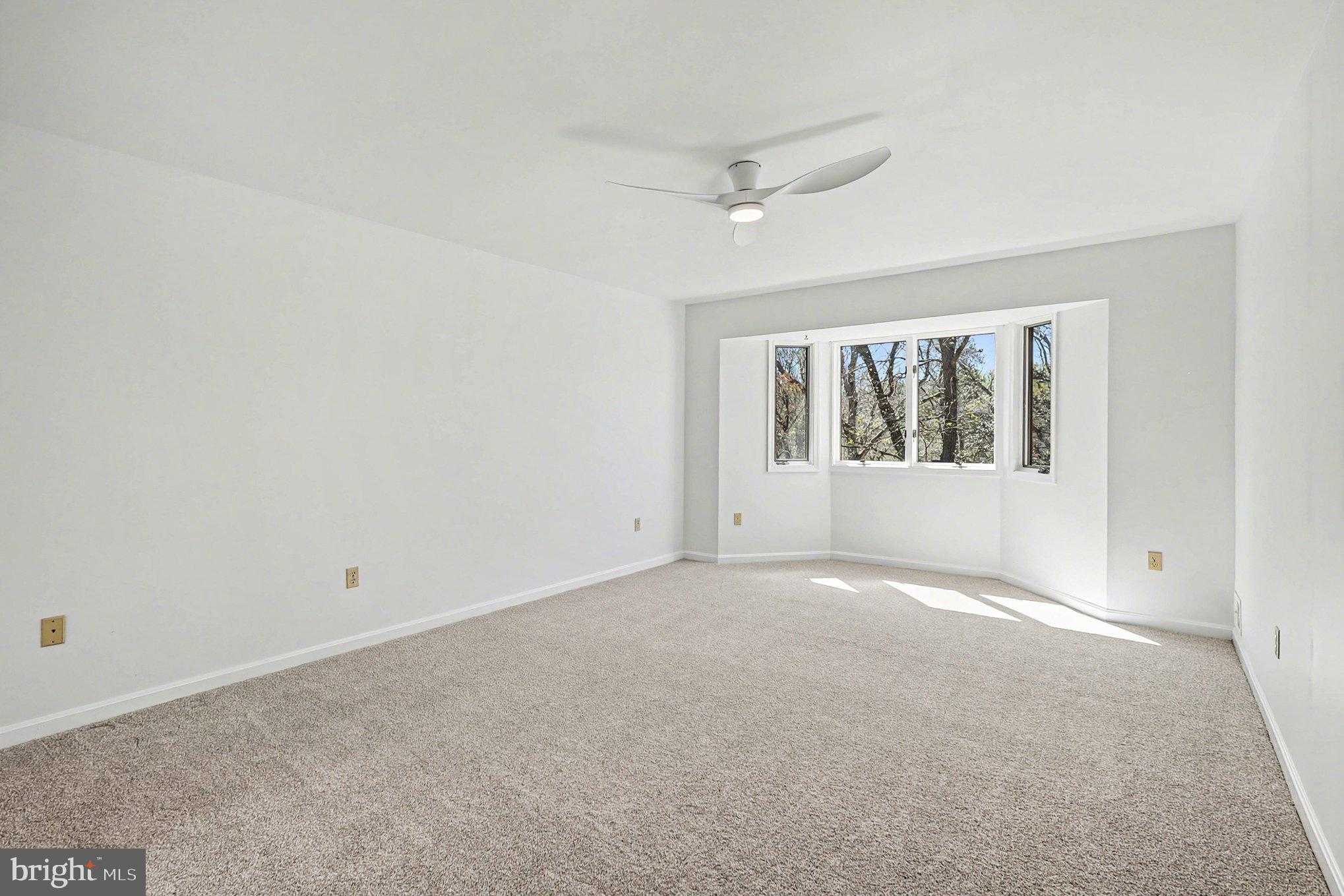 8406 Cathedral Forest Dr photo 28