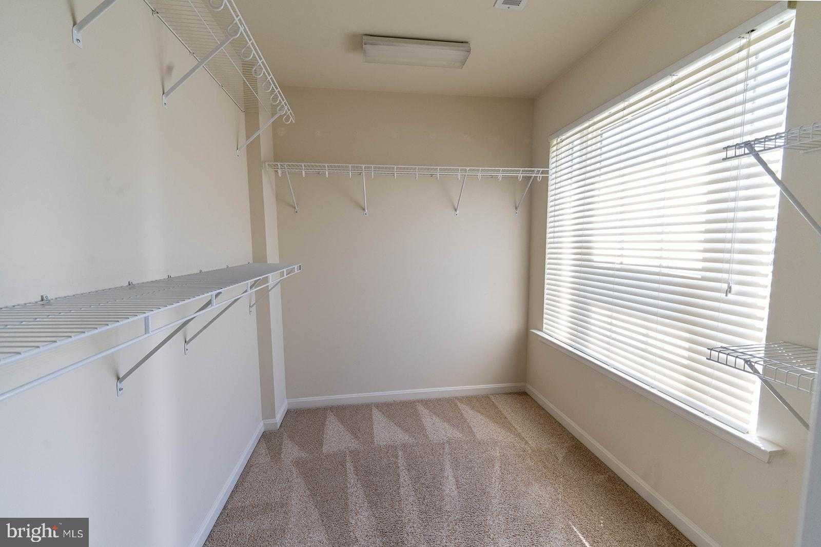 23012 S Pembrook Dr photo 56