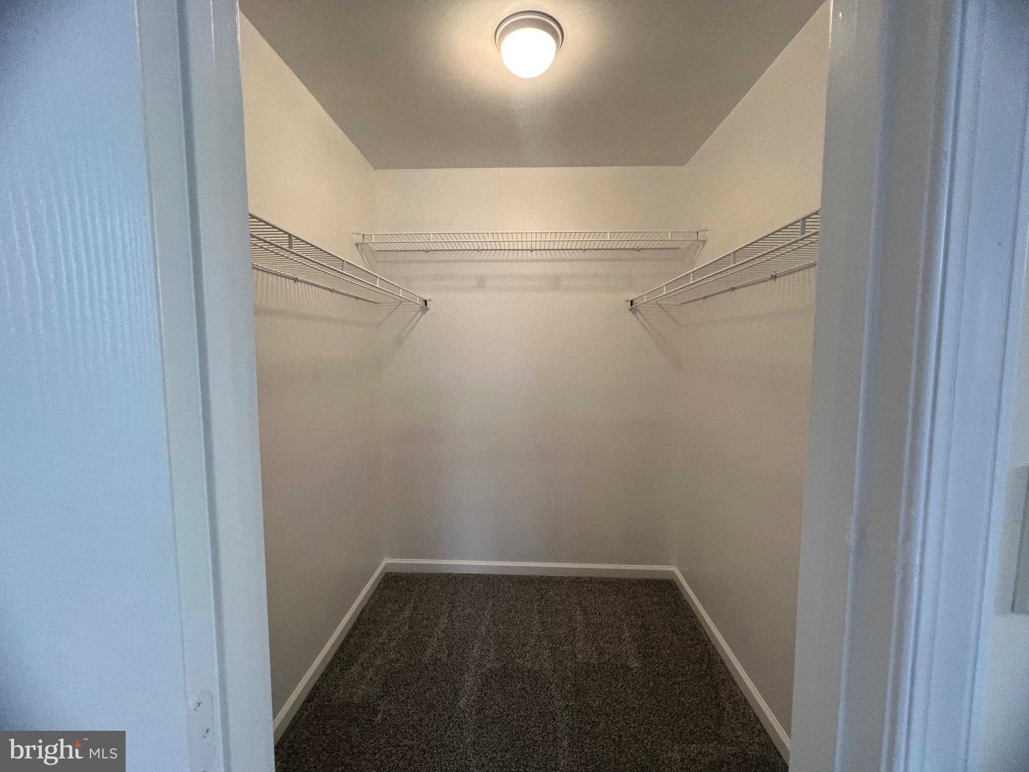 15 Mistala CT photo 23