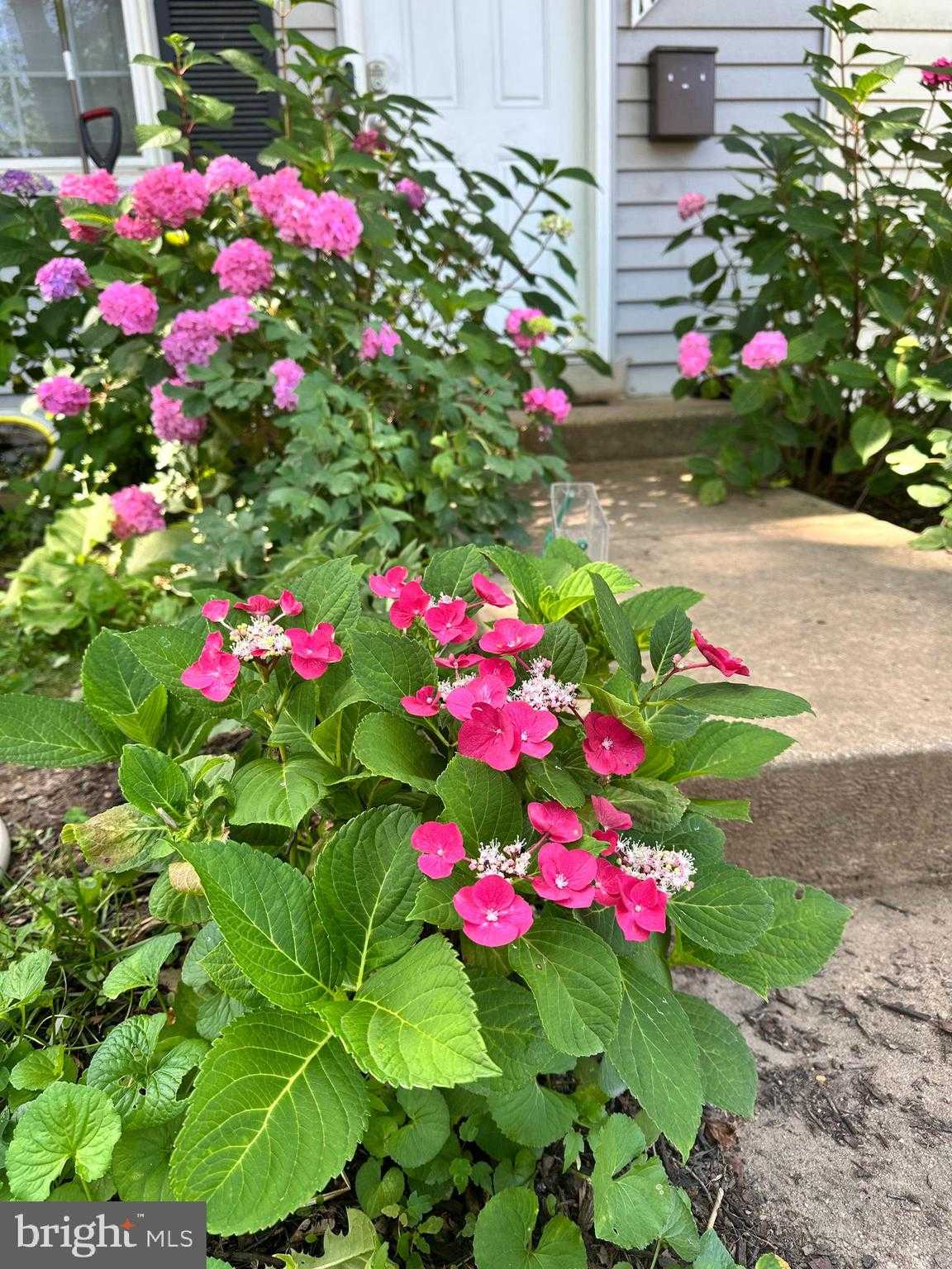 17736 Larchmont Ter photo 2