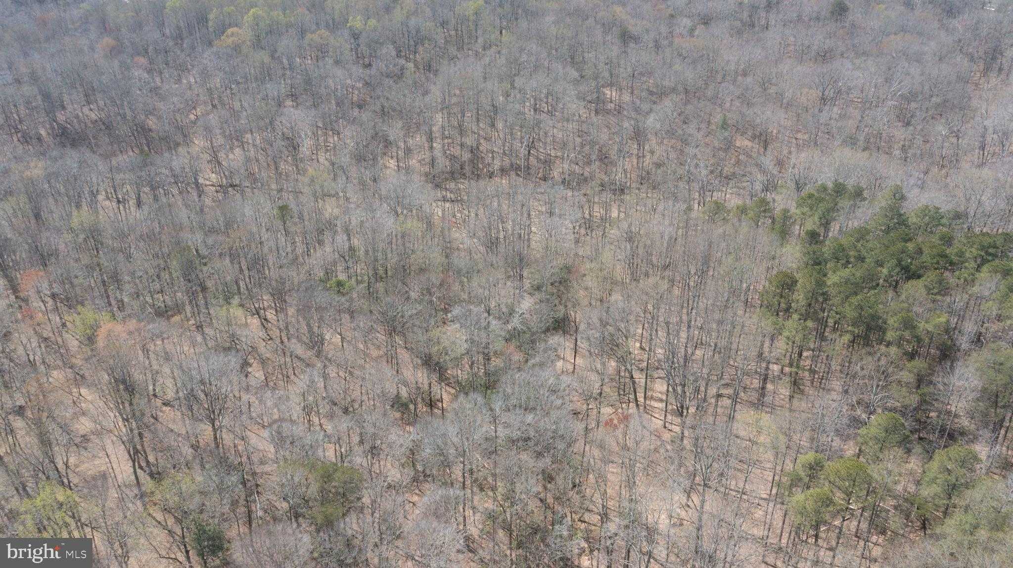 635 Tobacco Ridge Rd photo 6