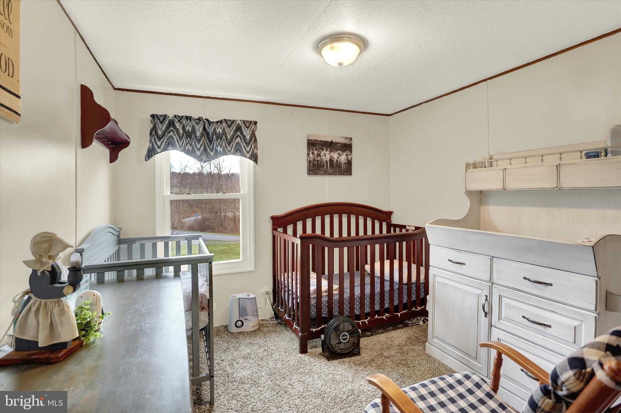 50 Mitchell Rd photo 25