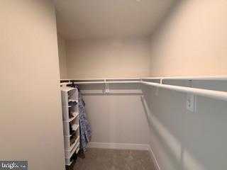 9756 Windflower Way photo 39