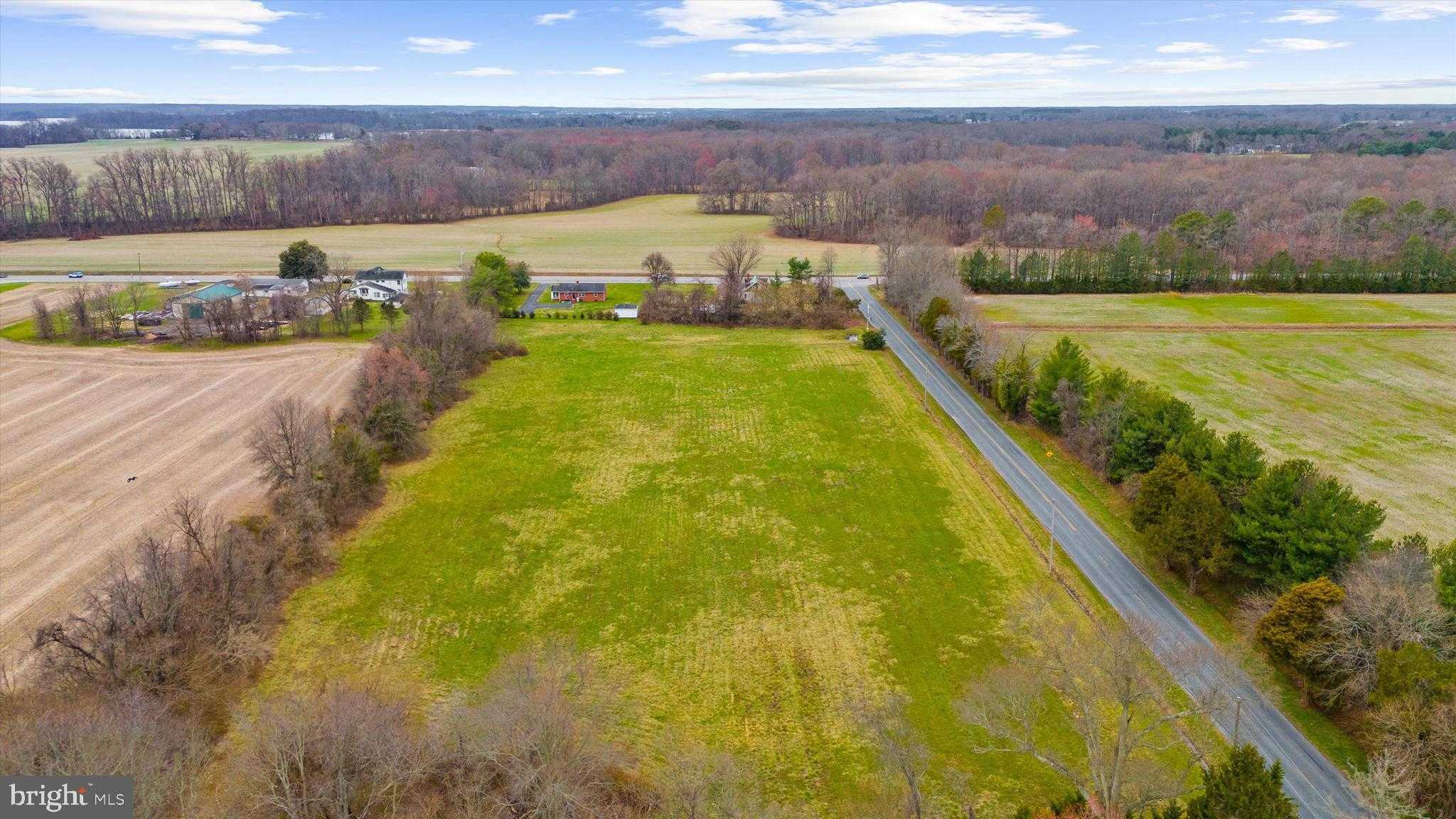 Queen Anne St photo 4