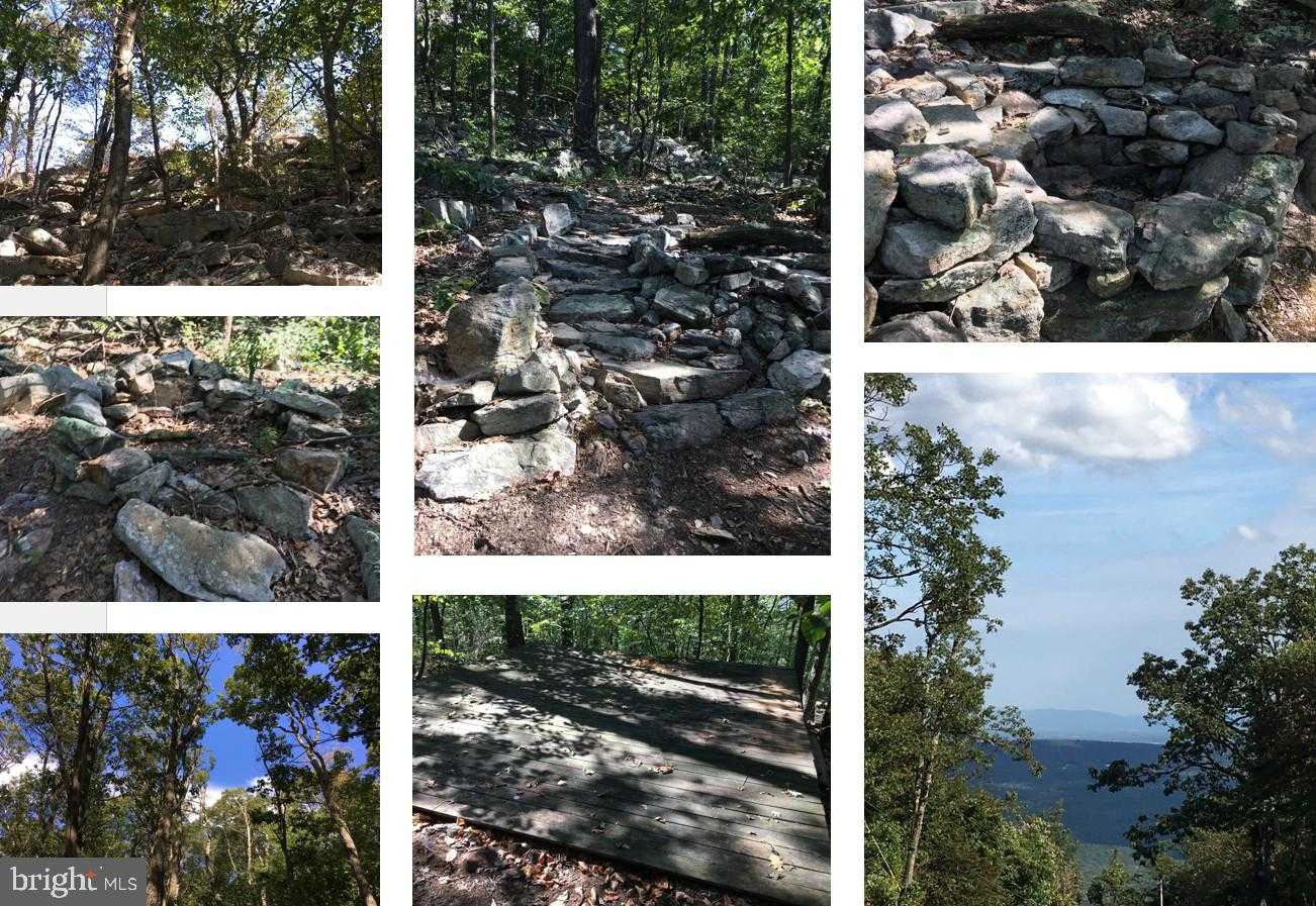 105 Bob Cat Ct photo 9