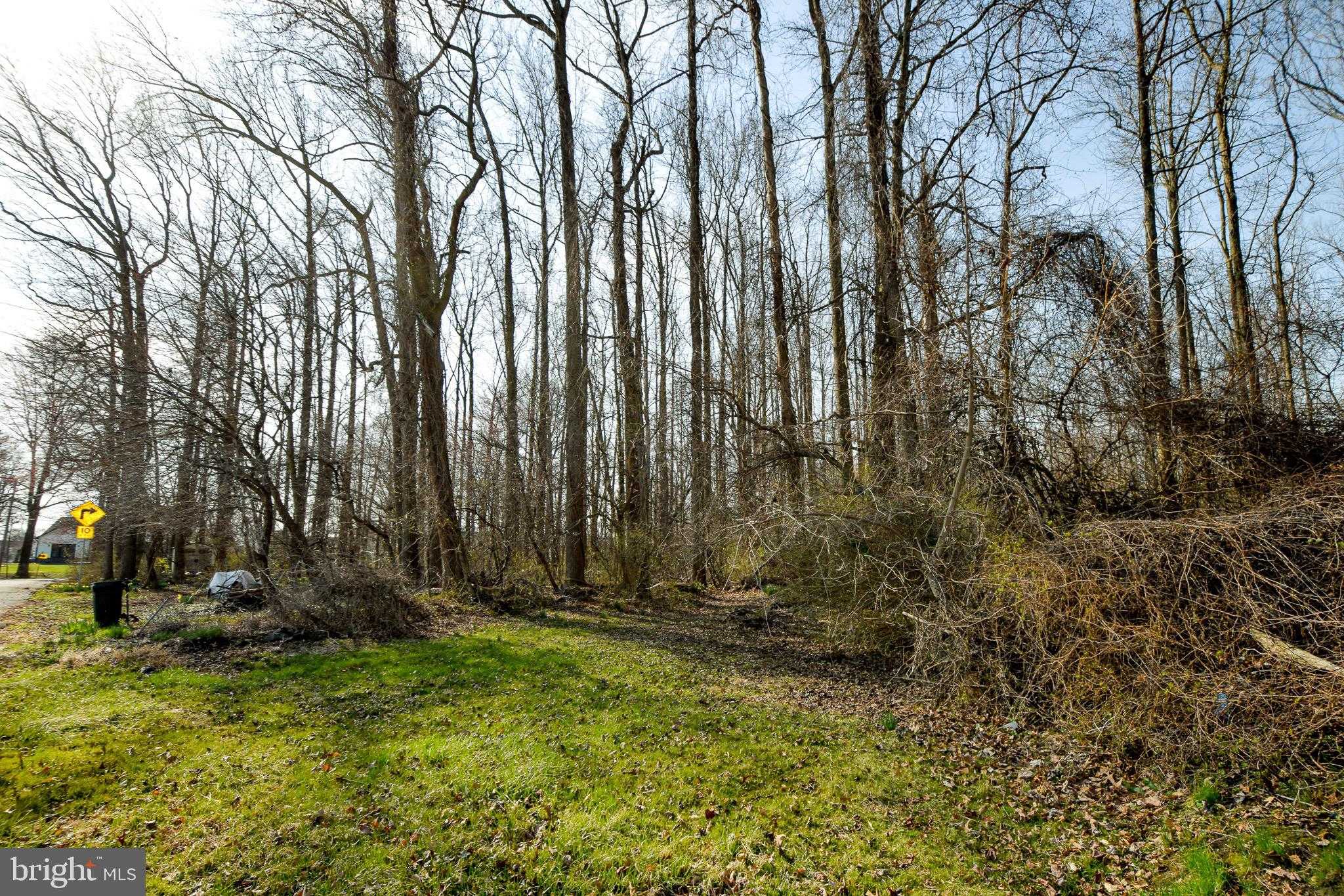 3904 Goose Harbor Rd photo 8