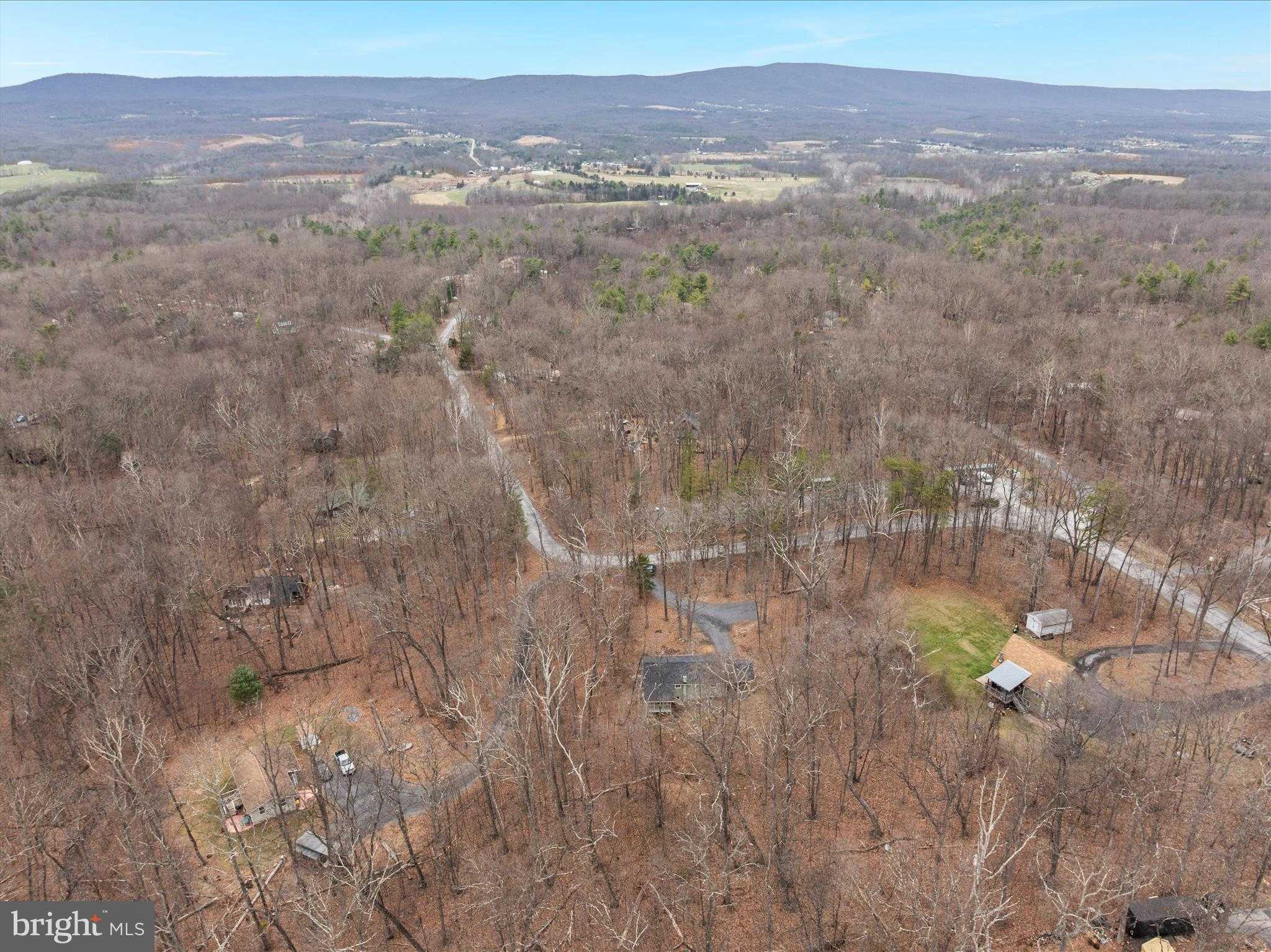 43 Cashew Ln photo 40