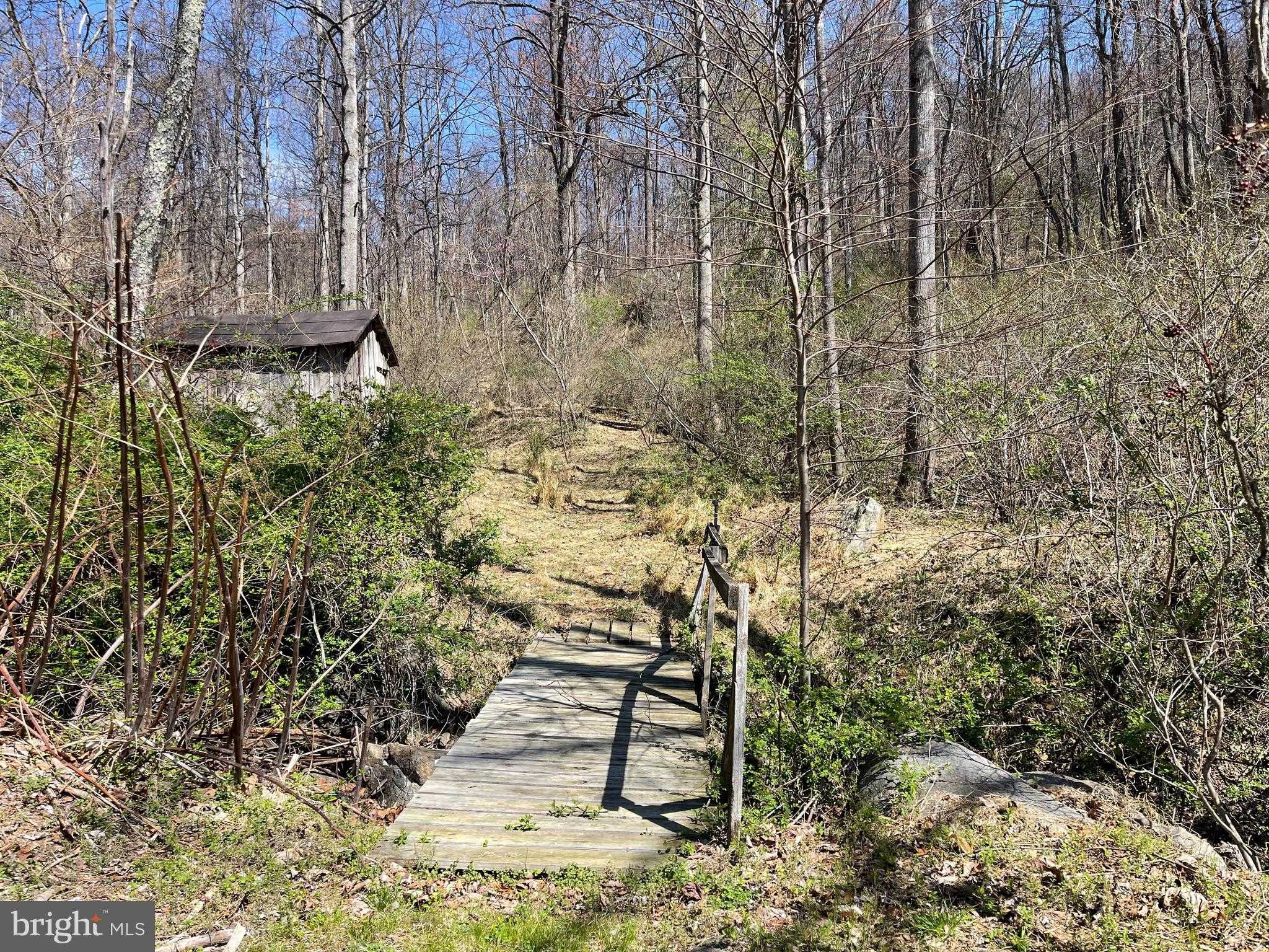 4100 Heards Ln photo 6