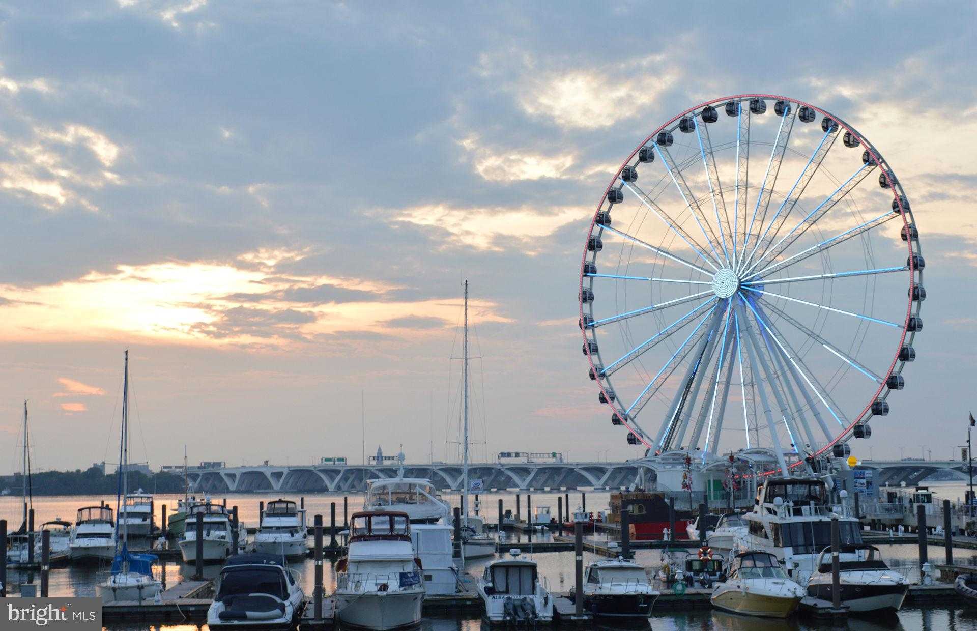 4201 Eliza CT photo 33