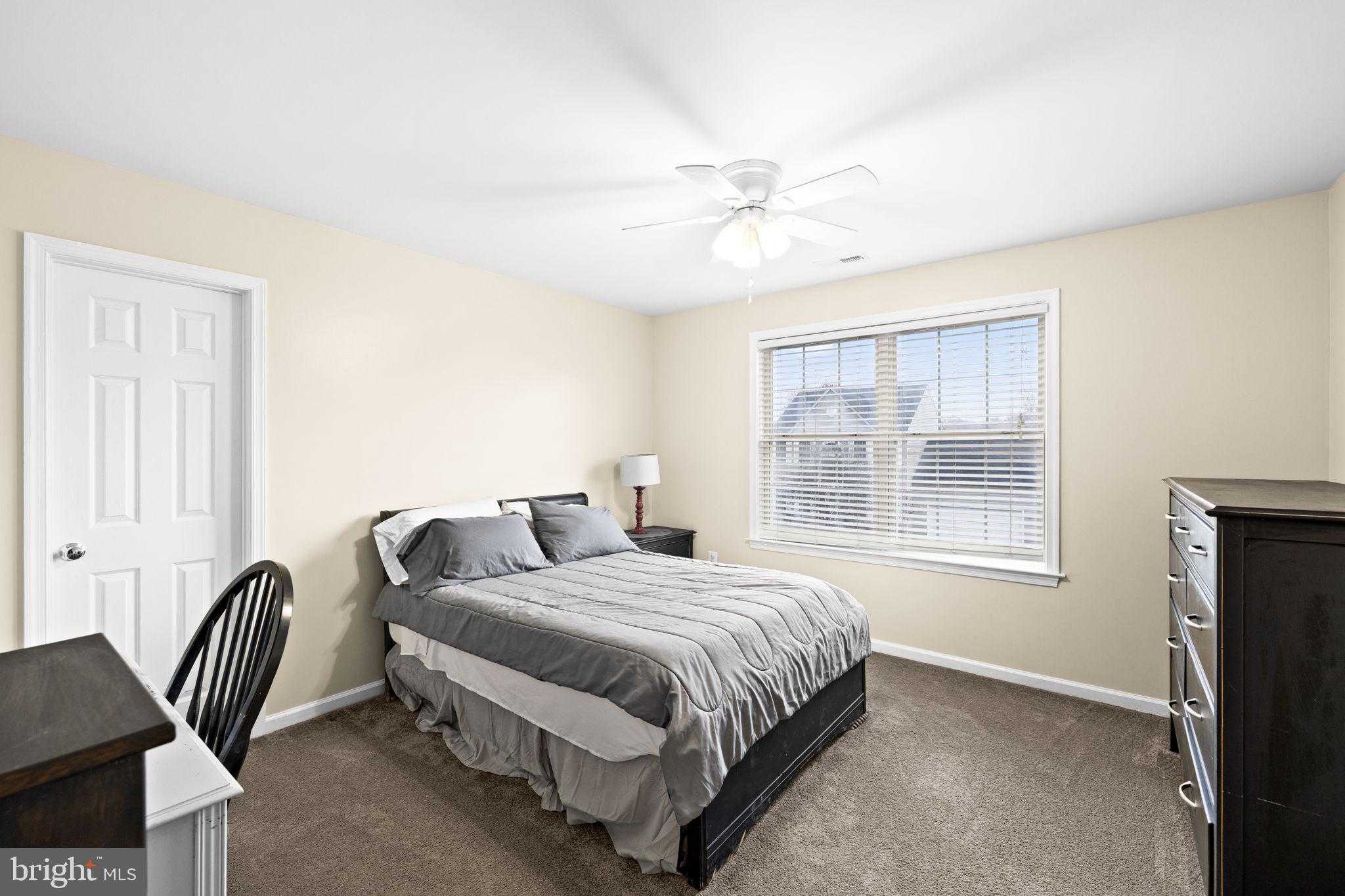 5 Basket CT photo 36