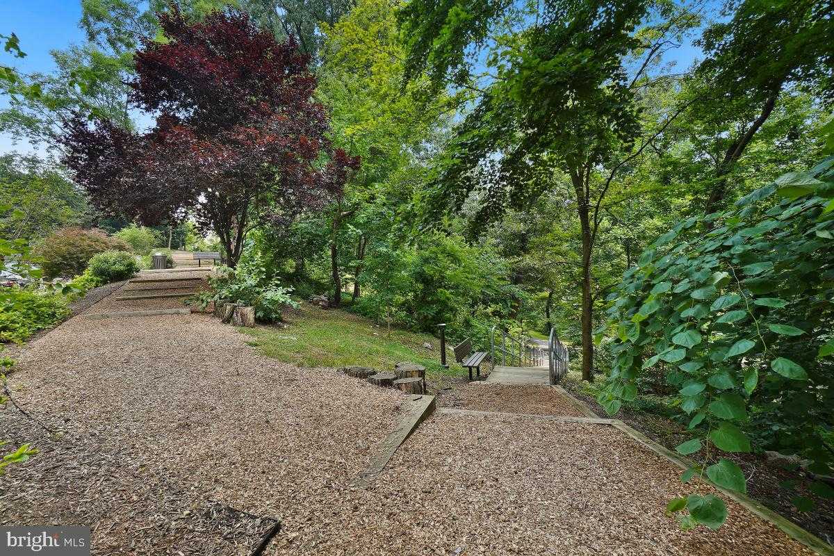 5904 Mount Eagle Dr Apt 601 photo 74