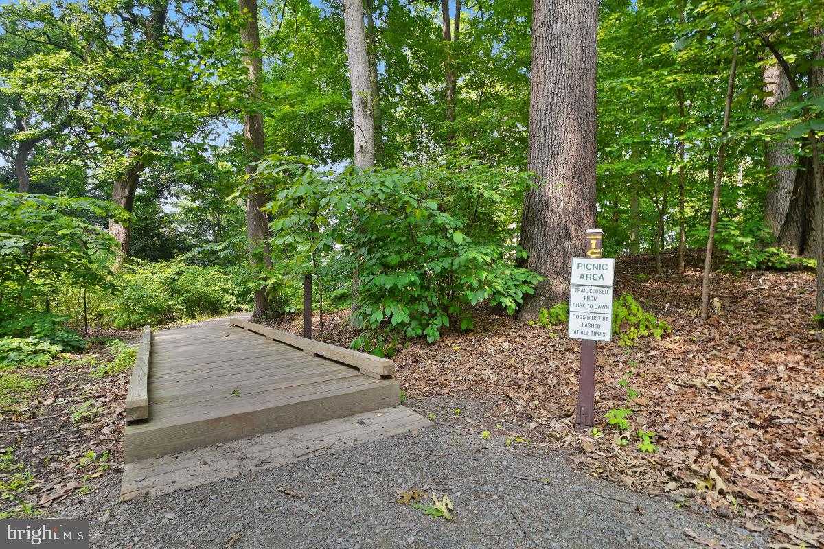 5904 Mount Eagle Dr Apt 601 photo 82