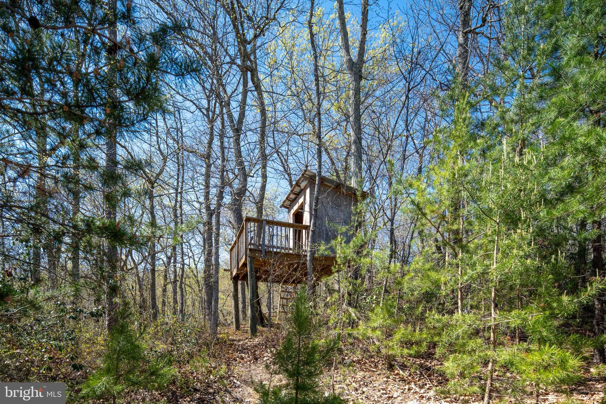 4752 Greene Love Ln photo 92