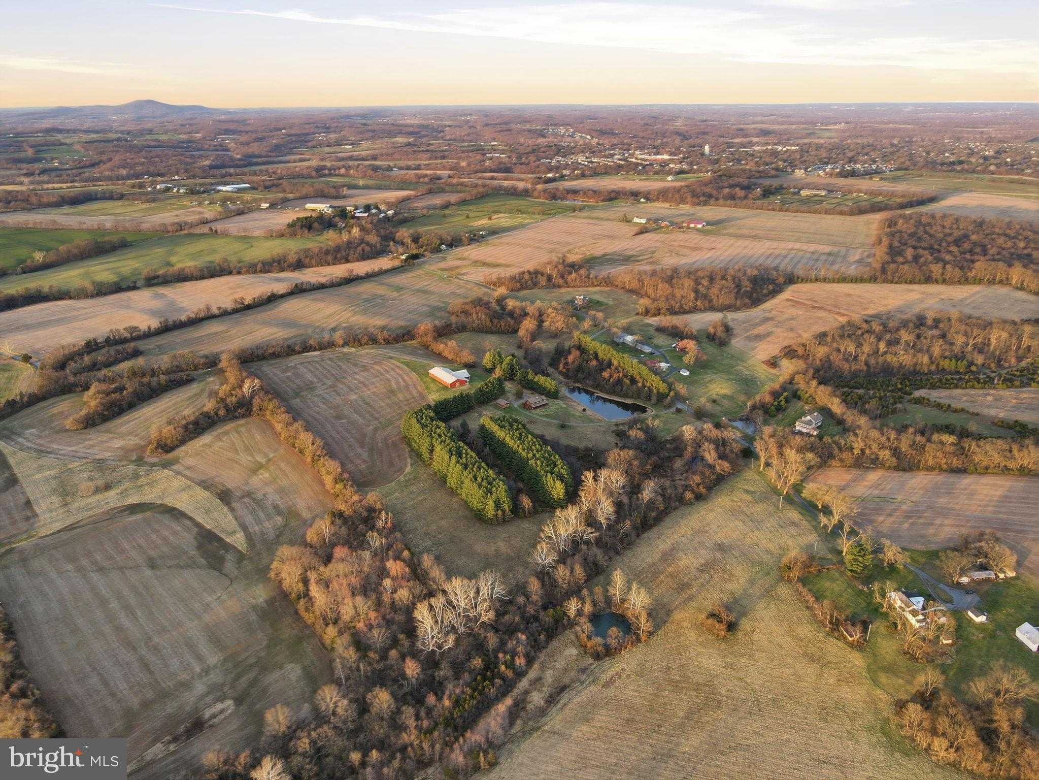 21142 Westerly Rd photo 59