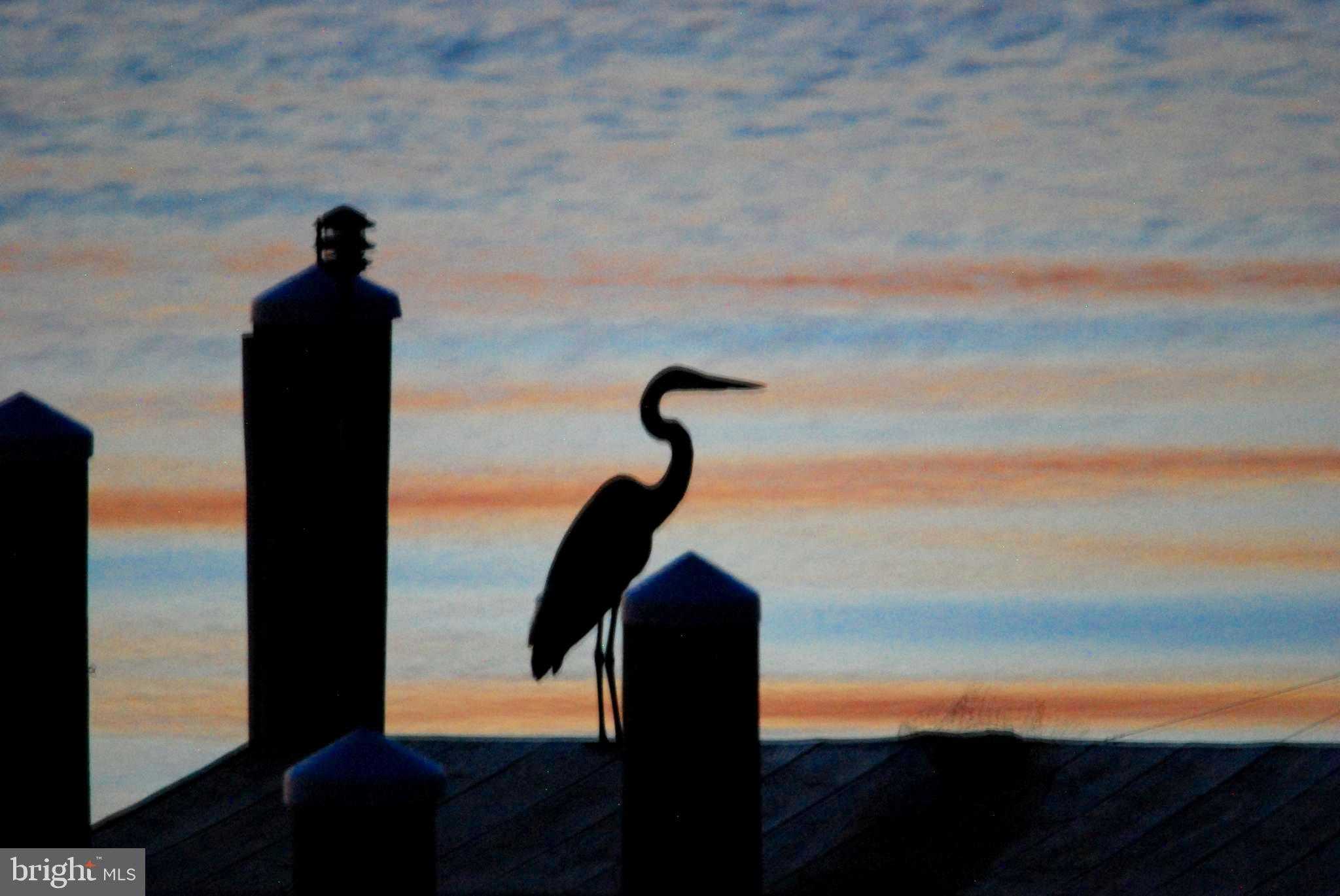 1252 Old Madison Rd photo 88