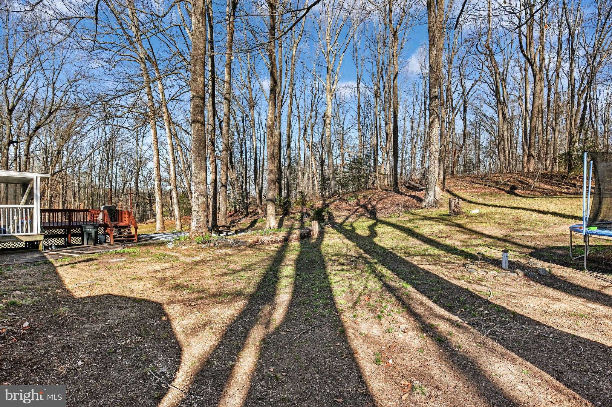 38842 Foley Mattingly Rd photo 14