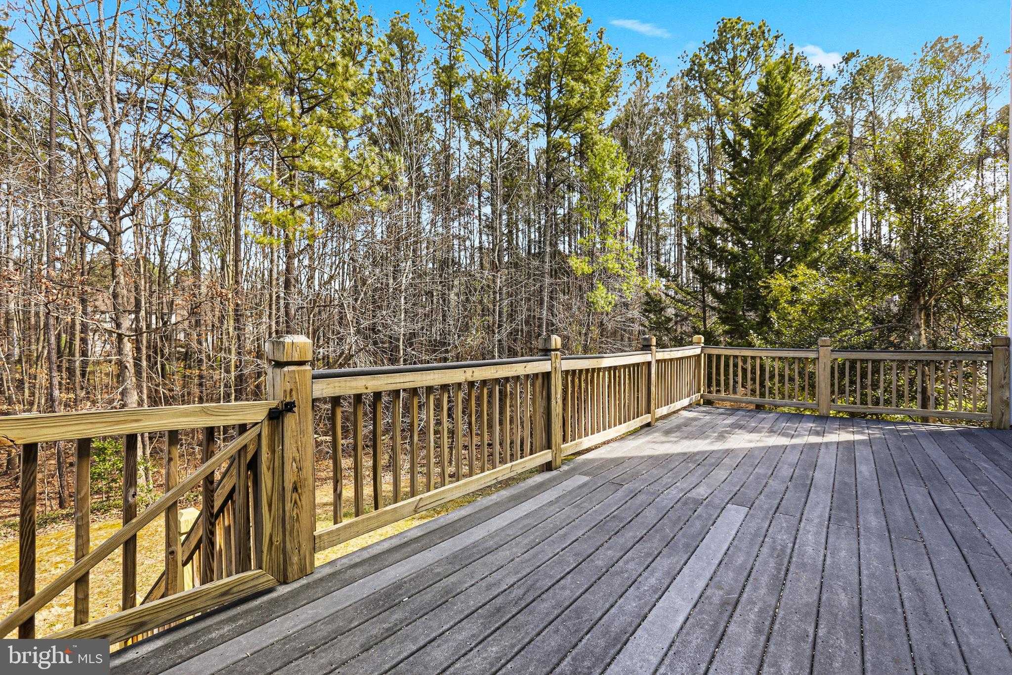 5 Engles CT photo 26