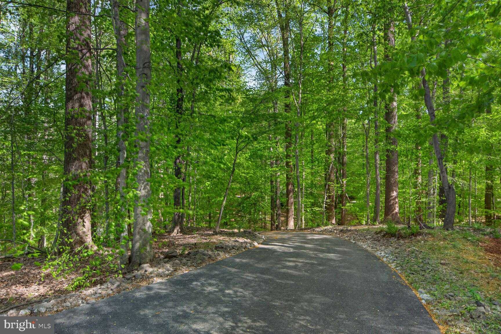 11511 Lilting Ln photo 85