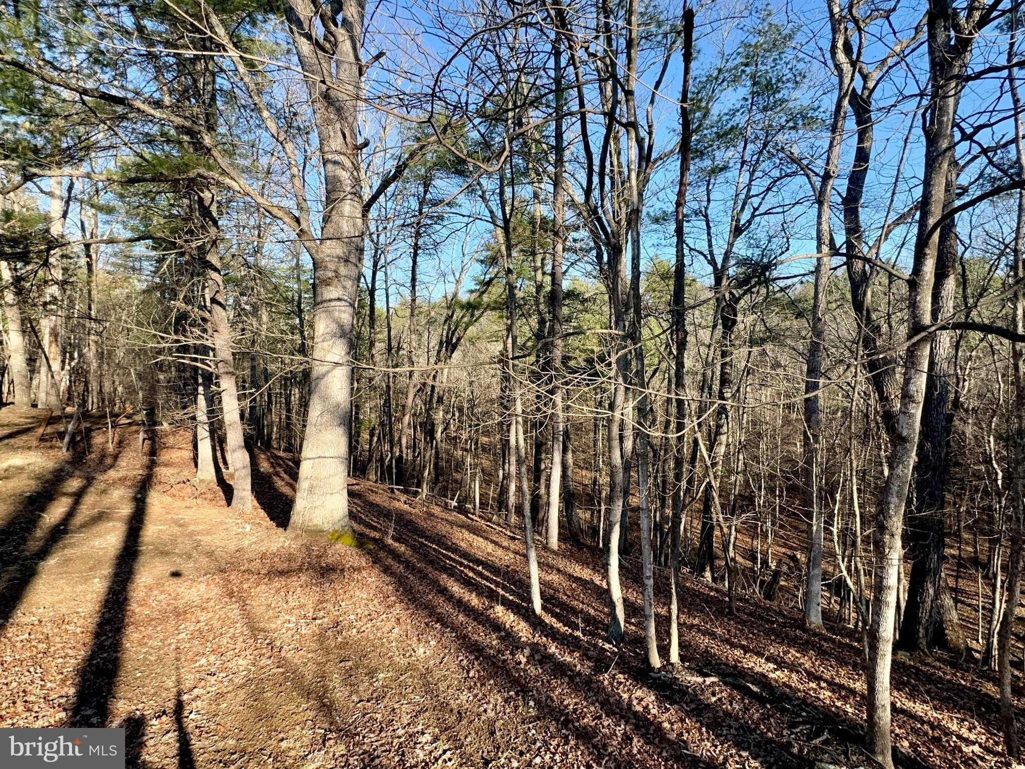 31307 Oldtown Orleans Rd SE photo 40