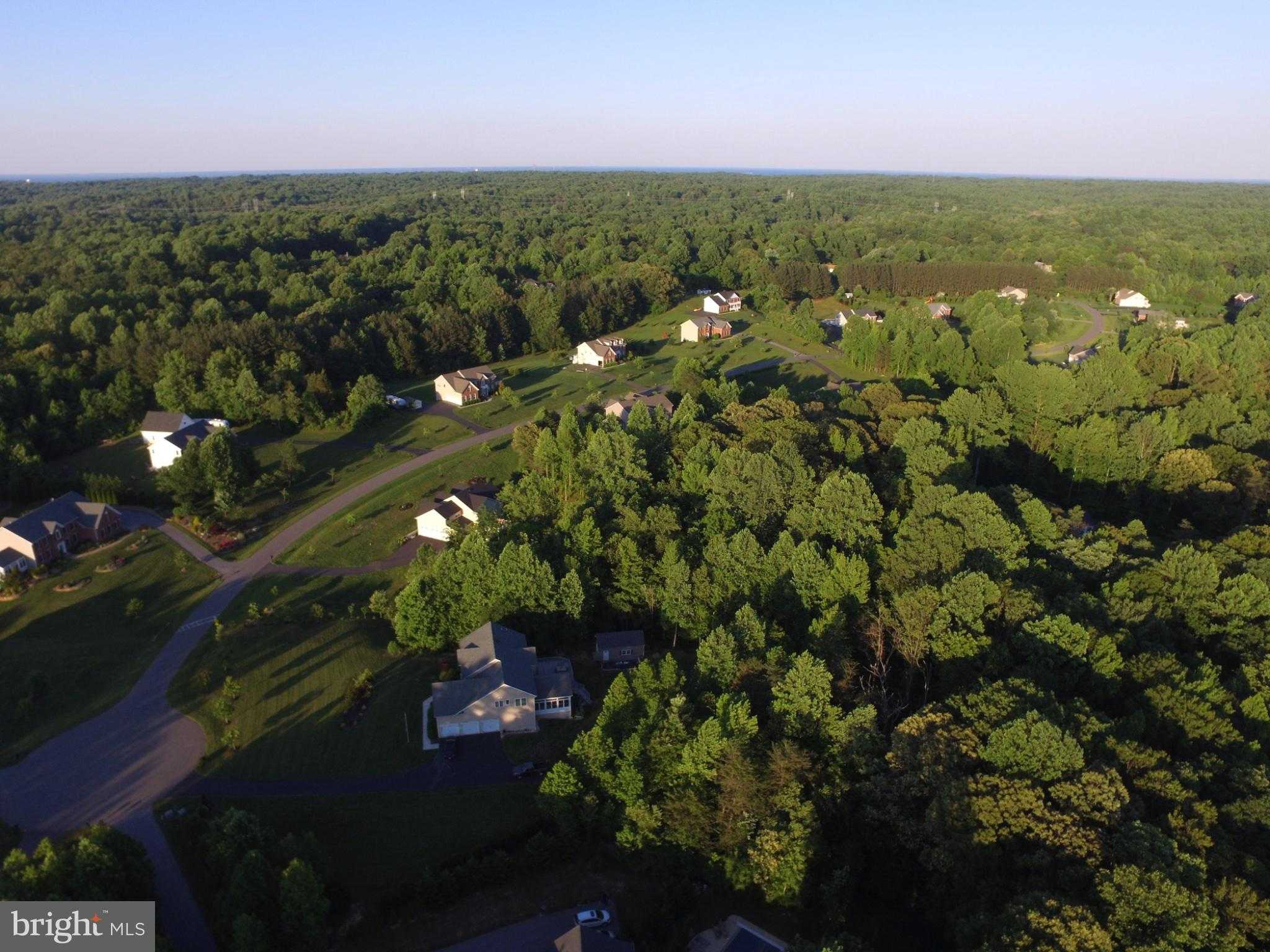 1455 Gabriels Way photo 65