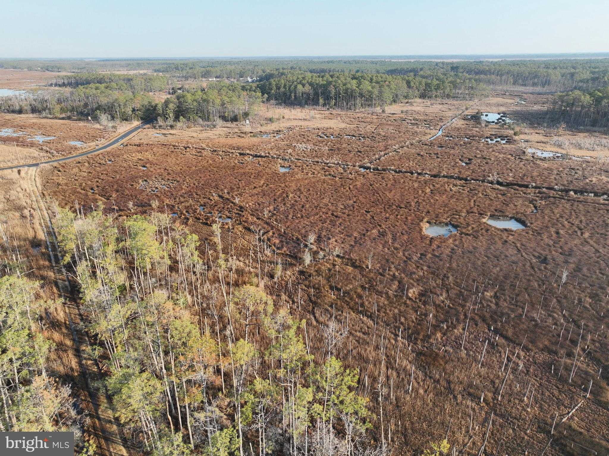 2373 Asquith Island Rd photo 16